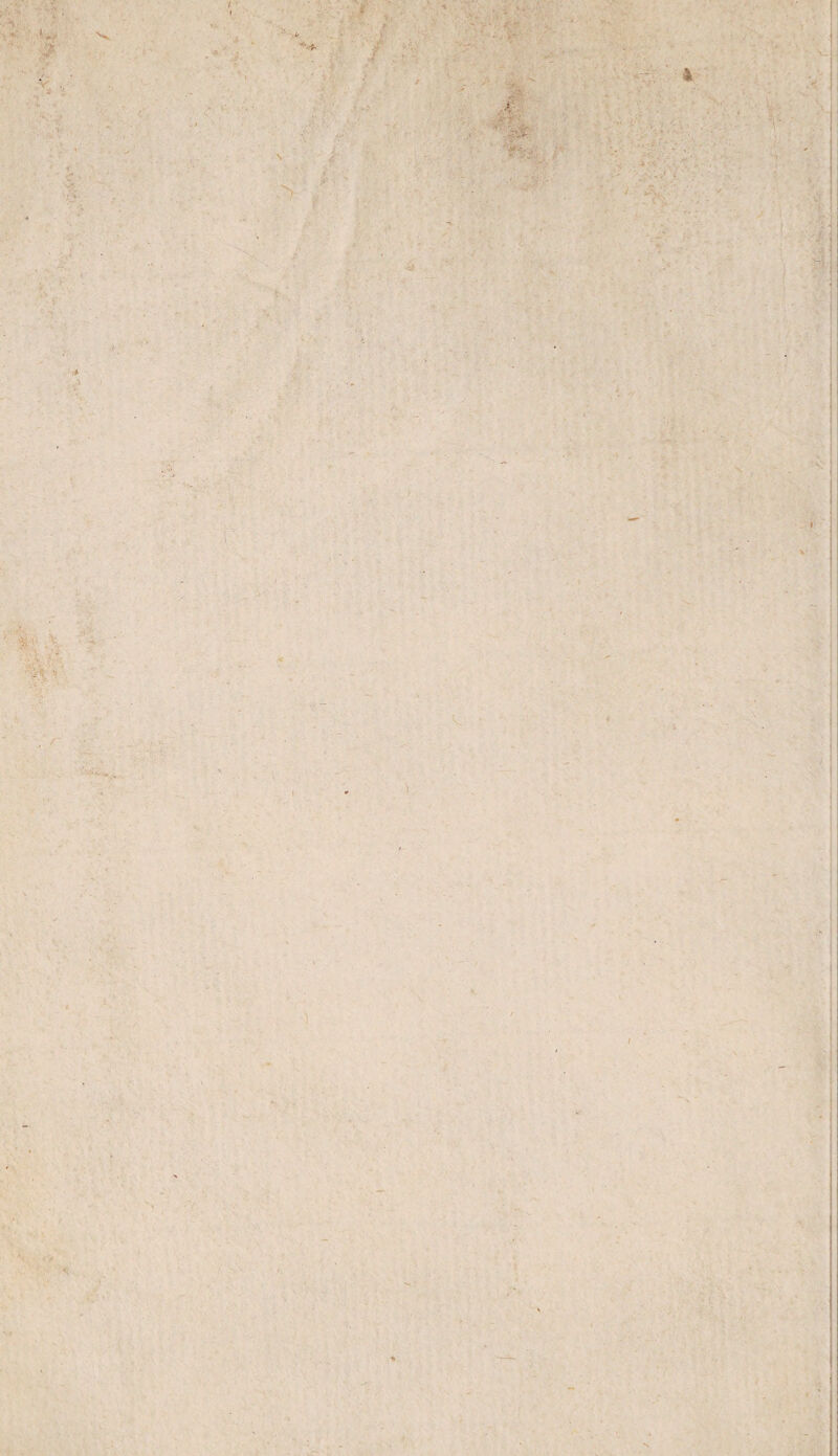 1# ,ì. f 4 1 JW *• . I ; %-y- ■ >'■? v ' ,T < ) ì