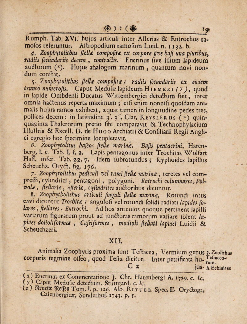#) t cm Rumph. Tab, XVi. hujus articuli inter Aderias & Entrochos ra- mofos referuntur, Adropodium ramofum Luid, n. i i$z. b. 4♦ Zoopbytolitbus ftelU compoftu ex corpore five bafi una pluribus, radiis fecundariis decem , contro&is. Encnnus five lilium lapideum audorum (x). Hujus aftaJogum marinum , quantum novi non¬ dum coniht. 5. Zoophytolitbus ftell£ compojit£; radiis fecundariis ex eodem trunco numero fis. Caput Medufe lapideum Hieme r i (7), quod in lapide Ombdenfi Ducatus Wittembergici detedum fuit, inter omnia hadenus reperta maximum 5 etfi enim nonnifi quofdam ani» malis hujus ramos exhibeat, aequat tamen in longitudine pedes tres, pollices decem: in latitudine 3'. 3. Clar, KeyslErus (z) quin¬ quaginta Thalerorum pretio fibi comparavit & Technophylacium Illudris & Excell. D. de Hugo Archiatri &Confiliarii Regii Angli- ci egregio hoc fpecimine locupletavit. 6. Zoophytolitus bafeos ftell£ marini. Bafis pentacrini. Haren- berg* h c. Tab. I. f. 2. Lapis pentagonus inter Trochitas Wolfart Ha(t infer. Tab. 22. 7. idem fubrotundus 5 fcyphoides lapillus Scheuchz. Oryd. fig. 176. 7. Zoopbjtolithus pediculi vel rami ftell£ marin£ , teretes vel com¬ pelli, cylindrici , pentagoni , polygoni. Entrochi columnares ,Vol- voU, fteliarU, afteri£, cylindrites audoribus dicuntur. 8. Zoophytholithus articuli fwguli ftell£ marin£. Rotundi intus cavi dicuntur Trochit£ ; angulofi vel rotundi folidi radiati lapides po¬ lares 3 fellares, EntrochL Ad hos articulos quoque pertinent lapilli variarum figurarum prout ad junduras ramorum variare fblent la¬ pides dolioliformes , Cafeiformes , modioli fellati lapidei Luidii & Scheuchzeri, XIL Animalia Zoophytis proxima funt Tedacea, Vermium genus Zoolithu* corporis tegmine offeo, quod Tefta dicitur. Inter petrificata hu-^|aceo^ _______ C 2 jus* A Echinkes (x) Encnnus ex Commentatione J. Chr. Harenbergi A. 1729. c. Xc, (y ; Caput Medufa? detedum. Stuttgard* c. Xc. (z) S^euede SKcifen Tom. I. p. 126. Alb- Ritter Spec.Ih Ory&ogr* Calenbergica?» Sonderhuf. 1743* P* T