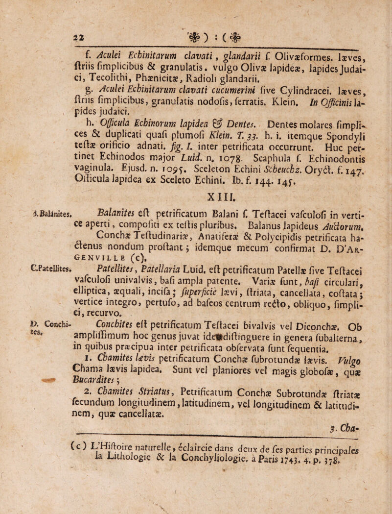 f. Aculei Echinitarum clavati, glandarii £ Olivaeformes. laeves, ftriis fimplicibus & granulatis. vulgo Olivae lapideae, lapides Judai¬ ci, Tecolithi, Phaenicitae, Radioli glandarii. g. Aculei Echinitarum clavati cucumerini five Cylindracei. laves, ftnis fimplicibus, granulatis nodofis, ferratis. Klein. In Officinis la- , pides judaici. h. Offlcula Echinorum lapidea 0? Dentes. Dentes molares fimpli* ces & duplicati quali plumofi Klein. T. 33. h. i. itemque Spondyli teftae orificio adnati. fig. /. inter petrificata occurrunt. Huc per¬ tinet Echinodos major Luid. n* 1078. Scaphula f. Echinodontis vaginula. Ejusd. n. 109^. Sceleton Echini Scheuchz. Orydl. f. 147, Oiliada lapidea ex Sceleto Echini. Ib. f. 144.145-. : xul ^ Balanites. Balanites eft petrificatum Balani f. Teftacei vafculofi in verti¬ ce aperti, compofiti ex teftis pluribus. Balanus lapideus AuHorum, Conchae Tertudinaria?, Anatiferae & Polycipidis petrificata ha- dlenus nondum proflant j idemque mecum confirmat D. D’Aft- genville (c), CPatellites» Patellites, Patellaria Luid. efl petrificatum Patellae five Teftacei vafculofi uni valvis, bafi ampla patente. Varis funt, bafi circulari, elliptica, aequali, incifa; fuperficie lzvi, ftriata, cancellata, coflata; vertice integro, pertufo, ad bafeos centrum redlo, obliquo, fimpli- ci, recurvo. D. Conchi- Conchites efl petrificatum Teftacei bivalvis vel Diconch». Ob ampliftirnum hoc genus juvat ideUdiftinguere in genera fubalterna, in quibus pracipua inter petrificata obfervata funt fequentia. 1. Chamites Uvis petrificatum Conchae fubrotundae isevis. Fulgo Chama laevis lapidea. Sunt vel planiores vel magis globofe, quae Bucardites; i 2. Chamites Striatus, Petrificatum Conchae Subrotundae ftriatae fecundum longitudinem,latitudinem, vel longitudinem & latitudi¬ nem, qux cancellatae. 5. Cha - (c ) L Hifioire naturelle» eclaircie dans deux de fes parties principa/es Ia Lithologie & la Conchylioiogie, a Paris 1743. 4. p.