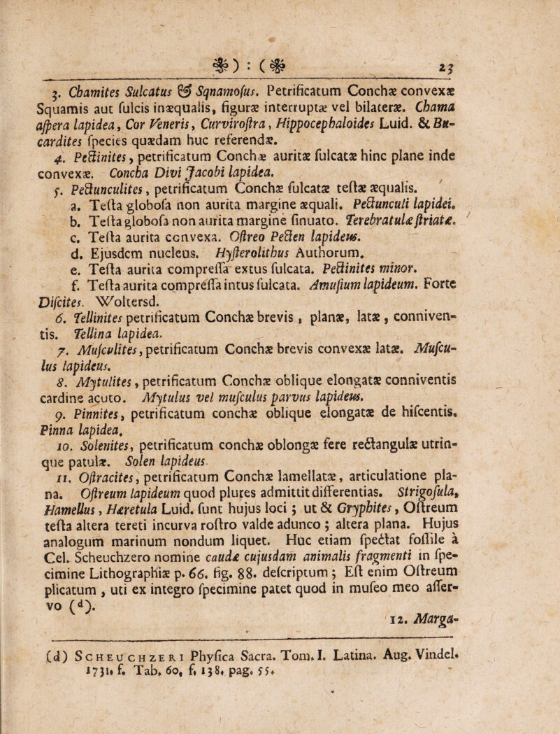 #) : («? gp 3. Chamites Sulcatus & Sqnamofus. Petrificatum Conchae convexae Squamis aut fulcis inaequalis, figurae interruptae vel bilaterae. Chama, ajpera lapidea, Cor Veneris, Curviroftra, Hippocephaloides Luid. &B«- cardites fpecies quaedam huc referendae. 4. PeSinites, petrificatum Conchae auritae fulcatae hinc plane inde convexae. CoBcfc# Diw Jacobi lapidea. f. PeSunculites, petrificatum Conchae fulcatae teftae aequalis. a. Tefta globofa non aurita margine aequali. Pedunculi lapideh b. Telia globofa non aurita margine finuato. TerebratuUftriai*. c. Telia aurita convexa. G#reo Pefien lapidei#. d. Ejusdem nucleus. Hyfterolithus Authorum. e. Tefta aurita compreifa extus fulcata. Pedinites minor. f. Tefla aurita compreifa intus fulcata. Amufium lapideum. Forte Difcites. Woltersd. 6. Tellinites petrificatum Conchae brevis, planae, latae 5 conniven» tis. Te Ili na lapidea. 7. Mujcvlites, petrificatum Conchae brevis convexae latae. Mufcu- lus lapideus. 8. Mytulites, petrificatum Concha oblique elongat* conniventis cardine acuto. Mitulus vel mufculus parvus lapidem. 9. Pinnites, petrificatum concha; oblique elongat* de hifcentis. Pinna lapidea. 10. Solenites, petrificatum conchae oblongae fere re6iangul* utrin- que patui*. Solen lapideus. 11. Ojlracites, petrificatum Conchae lamellat*, articulatione pla¬ na. Oftreum lapideum quod plures admittit differentias. Strigofulat Hamellus, H&retula Luid. funt hujus loci; ut & Gryphites, Oftreum tefta altera tereti incurva roftro valde adunco ; altera plana. Hujus analogum marinum nondum liquet. Huc etiam fpedlat foftile a Cei. Scheuchzero nomine caud£ cujusdam animalis fragmenti in fpe» cimine Lithographi* p. 66. fig. 88. deferiptum ; Eft enim Oftreum plicatum , uti ex integro fpecimine patet quod in mufeo meo affer- vo (d). 12. Marga* (d) Scheuchzeri Phyfica Sacra. Tom. 1. Latina. Aug. Vindel* 1751« fi Tab. 6ot fi 138« pag.
