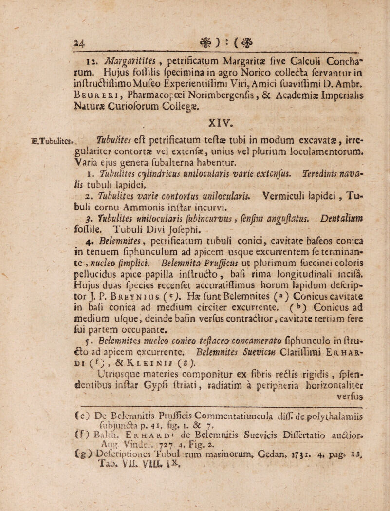 ii, Maygar it it es , petrificatum Margaritae five Calculi Concha- irum. Hujus fofiilis fpeciminain agro Norico collebla fervantur in inrtru<rtifiimoMufeo Experiemifiimi Viri, Amici fuavillimi D. Ambr. Beukeri, Pharmacopoei Norimbergenfis, & Academiae Imperialis Naturae Curioforum Collegae. XIV. KTdbulites.. Tubutites eft petrificatum tertae tubi in modum excavatae, irre- gularitep contortae vel extenfae, unius vel plurium loculamentorum. Varia ejus genera fubalterna habentur. 1. Tubidites cylindricus unilocularis varie extcnfus. Teredinis nava¬ lis tubuli lapidei. 2. Tubulitzs varie contortus unilocularis. Vermiculi lapidei, Tu¬ buli eornu Ammonis inrtar incurvi. 3. Tubulites unilocularis fubincurvus, fenfim anguftatus. Dentalium ' follile. Tubuli Divi Jofephi. 4. Bekmnites, petrificatum tubuli conici, cavitate bafeos conica in tenuem fiphunculum ad apicem usque excurrentem fe terminan¬ te , nucleo fimplici. Belemnita PruJJicus ut plurimum fuccinei coloris pellucidus apice papilla inltrudo * bafi rima longitudinali incila. Hujus duas fpecies recenfet accuratiflimus horum lapidum defcrip- tor J. P. Breynius (e). Hae funt Belem nites (a) Conicus cavitate in bafi conica ad medium circiter excurrente. (b) Conicus ad medium ufque, deinde bafin verfus contrabiior, cavitate tertiam fere fui partem occupante. £. Belemnitis nucleo como teflaceaconcamerato fiphunculo infim¬ ato ad apicem excurrente. Bekmnites Suevicus Clariilimi Erhar- d5 (f) , & Klei^ii (g). Utriusque materies componitur ex fibris redis rigidis, fplen- dentibus inrtar Gypfi ftriati, radiatim a pcripheria horizontaliter verfus fe) De Belemnitis Prufficis Commentatiuncula difl^ de polythalamiis fubjimda p. 41. fig. i. Sc 7. (T) Balth, Erhardi de Belemnitis Suevkis BilFertatio audior.» Aug. VindeL 727. 4. Fig. 2. Cg) Defcriptiones Tubul runa marinorum. Gedan. 17ji. 4» pag» Tab, Vlt VIII, IX,