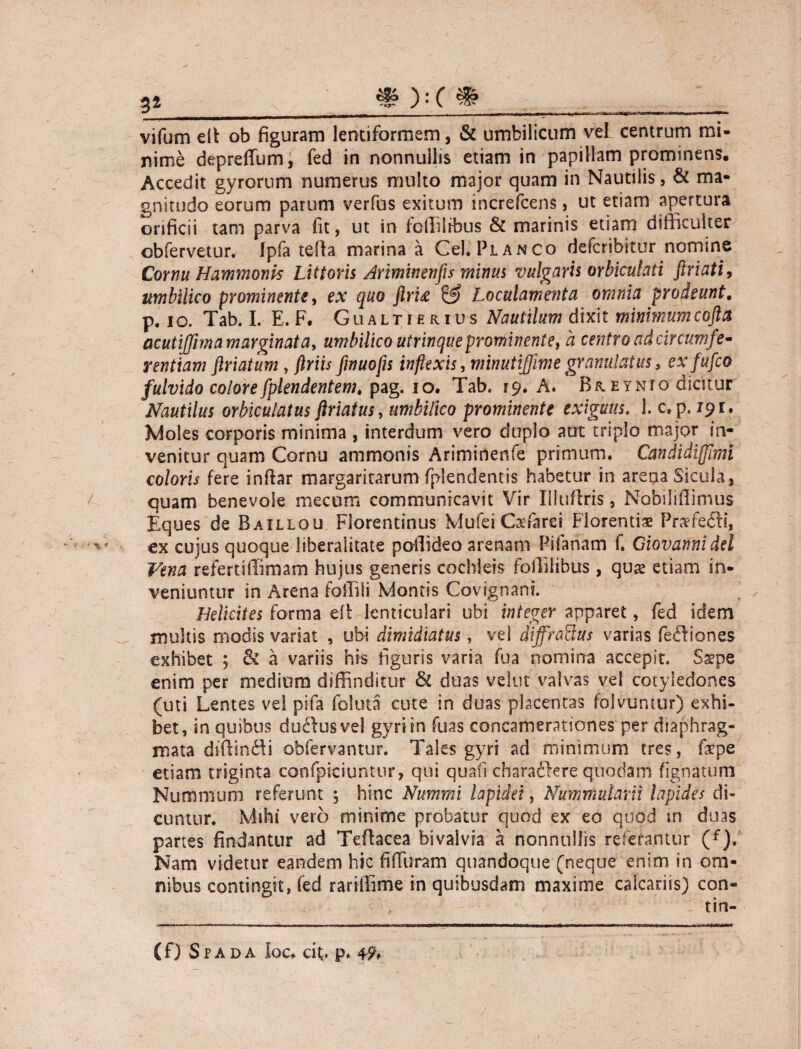 ;; 3* * ):( & vifum elt ob figuram lentiformem, & umbilicum vel centrum mi¬ nime depreffum, fed in nonnullis etiam in papillam prominens. Accedit gyrorum numerus multo major quam in Nautilis, & ma¬ gnitudo eorum parum verius exitum increfcens, ut etiam apertura orificii tam parva fit, ut in fcffilibus & marinis etiam difficulter obfervetur. Ipfa tefla marina a Cei. Planco defcribitur nomine Cornu Hammonis Littoris Artmwenfis minus vulgaris orbiculati friati, umbilico prominente, ex quo flrti & Loculamenta omnia prodeunt. p. io. Tab. I. E. F. Gualtierius Nautilum dixit minimumcofta acutiffma marginat a, umbilico utrinque prominente, a centra ad circumfe¬ rentiam friatum, flriisfinuofis inflexis, minutifjimegranulatus} exfufco fulvido colorefplendentem, pag. io. Tab. 19. A. B a eynto dicitur Nautilus orbiculatus friatus, umbilico prominente exiguus. 1. c» p. 191. Moles corporis minima , interdum vero duplo aut triplo major in¬ venitur quam Cornu ammonis Ariminenfe primum. Candidifflmi coloris fere inftar margaritarum fplendentis habetur in arena Sicula, quam benevole mecom communicavit Vir Illtiflris, Nobiliffimus Eques de Baillou Florentinus MufeiCadarei Florentiae Pra?fe£li, ex cujus quoque liberalitate pollideo arenam Pifanam f. Giovannidel Vena refertiffimam hujus generis cochleis foililibus , quas etiam in¬ veniuntur in Arena foffili Montis Govignani. Helicites forma ti\ lenticulari ubi integer apparet, fed idem multis modis variat , ubi dimidiatus, vel dijfra&us varias fefliones exhibet ; &Z a variis his figuris varia fua nomina accepit. Sspe enim per medium diffinditur & duas velut valvas vel cotyledones (uti Lentes vel pifa foluta cute in duas placentas folvuntur) exhi¬ bet, in quibus du^fusvel gyri in fuas concamerationes per diaphrag¬ mata diffindi obfervantur. Tales gyri ad minimum tres, fepe etiam triginta confpiciuntur, qui quafi charaftere quodam fignatum Nummum referunt 5 hinc Nummi lapidei, Nummularii lapides di¬ cuntur. Mihi vero minime probatur quod ex eo quod sn duas partes findantur ad Teflacea bivalvia a nonnullis referantur (f). Nam videtur eandem hic fi (luram quandoque (neque enim in om¬ nibus contingit, fed rariffime in quibusdam maxime calcariis) con» (f) Spada Ioc* cit» pf 49*