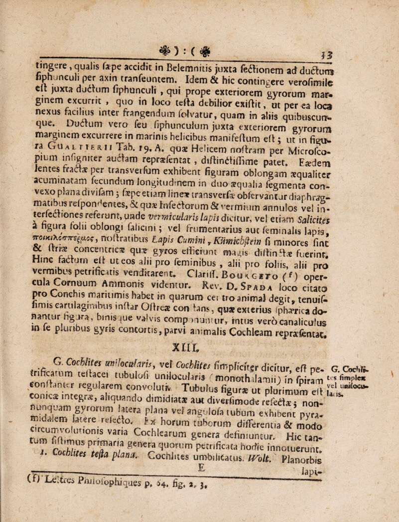 __ _ is tingere, qualis fa-pe accidit in Belemnitis juxta fedionem ad ductum fiphuneuli per axin tranfeuntem. Idem & hic contingere verofimile . juxta ductum fiphuneuli , qui prope exteriorem gyrorum mar. ginem excutm , quo in loco te Ita debilior exiftit, ut per ea loca nexus facilius inter frangendum folvatur, quam in aliis quibuscurr- que. Ductum vero feu , fiphunculoin juxta exteriorem gyrorum marginem excurrere in marinis helicibus manifefium eft 5 ut in figu- ra Giiai iian Tab. 19. A. quas Helicem noflram per yicrofco- pium in (ignit er autfam reprafentat , dtfiindiffime patet. Eadem lentes fracte per transverfum exhibent figuram oblongam xqualicer acuminatam fecundum longitudinem in duo aequalia fegmenta con¬ vexo plana di vifam; fspeet!am!ineartransverf*obfervancurd>ar,hi aw- matibitsrdp0m»enteS)&quS Medorum & vermium annutos ve! in- terlectiones referunt, unde vermicularis lapis dicitur, vel etiam Salicit.es a hgura folii oblongi falicini; vel frumentarius aut feminalis lapis , noflratibus lapis Cumini r Ktimkhptin fi minores fint & (hw concentrica! qus gyros efficiunt magis diftind* fuerint. Hinc factum eft ut eos aln pro feminibus , alii pro foliis, alii pro vermibuspetrificitis venditarent. Clariif. Bouxcrro (!) oner- cula Cornuum Ammonis videntur. Rev. D. Spab a loco citato pro Conchis maritimis habet m quarum cei troanimal degit, tenuif- fimis cartilagmibus mflar Oftre® con ians, qua exterius fpha-rica do¬ nantur bg ira, jims^ue valvis compotiuntur, intus vero canaliculus in fe pmttbus gyris contortis, parvi animalis Cochleam reprafentat. XIII, trificammlfcrS8??’ f dicitur, efl pe- G Cocto Irihcatum teiiacei tubulofi unducularis (monothalamii)m fpiram t,s eonffiinttr regularem convoluti, Tubulus figura ut ptorimum eli u^*** conica integra, aliquando dimidiat® aut diverfimode refecta j non¬ numquam gyrorum «era plana vetangutofa tubum exhibent ny midalem latere reledo. S.# horum taborum different,a & modi orcumvo-unoms varia Cochlearum genera definiuntur H,S tum bihmus primaria genera quorum petrificata hodie innotuerunt J‘ Cmhlltes pb«* Cochi-tes umbd,Catus. IVolt,' pCte -—— ____iapi- (.rl Le.tres Phiioiophiques p. H. fig, a, Y> .