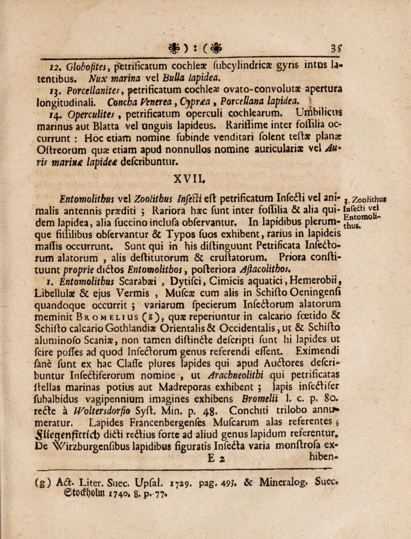 -_ #?:(# 12. Globofites, petrificatum cochlea? fubcylindricae gyris intos la¬ tentibus. Nux marina vel Bulla lapidea. 13. Porcellanites, petrificatum cochlea? ovato-convolutae apertura longitudinali. Concha Venerea, Cypr*a > Porcellana lapidea. /4. Operculites, petrificatum operculi cochlearum. Umbilicus marinus aut Blatta vel anguis lapideus. Rariffime inter foflilia oc¬ currunt : Hoc etiam nomine fubinde venditari folent teftae planae Citreorum quae etiam apud nonnullos nomine auriculariae vel Au* ris marina lapide* defcribuntur. XVII. Entomolithus vel Zoolitbus Infeci eft petrificatum Infedti vel ani* ? zooiithut malis antennis praediti ; Rariora haec funt inter foffilia & alia qui- dem lapidea, alia fuccinoinclufa obfervantur. In lapidibus plerum-  que fillilibus obfervantur & Typos fuos exhibent, rarius in lapideis maflis occurrunt. Sunt qui in his diflinguunt Petrificata Infecto¬ rum alatorum , alis deflitutorum & cruitatorum. Priora confti- tuunt proprie didtos Entomolithos, pofteriora Aftacolithos, 1. Entomolithus Scarabaei , Dytifci, Cimicis aquatici,Hemerobii, Libellulae & ejus Vermis , Mufcae cum alis in Schifto Oeningenfi quandoque occurrit ; variarum fpecierum Infedtorum alatorum meminit Bromelius (s), quae reperiuntur in calcario foetido & Schilto calcario Gothiandiae Orientalis & Occidentalis, ut & Schifto aluminofo Scania?, non tamen diftindte defcripti funt hi lapides ut fcire pofles ad quod Infedtorum genus referendi effent. Eximendi fand funt ex hac Claffe plures lapides qui apud Audtores defcri¬ buntur Infedtiferorum nomine , ut Aracbneolithi qui petrificatas flellas marinas potitrs aut Madreporas exhibent ; lapis infedtifer fubalbidus vagipennium imagines exhibens Bromelii 1. c. p. 80. redte a IVoltersdorfio Syft. Min. p. 48. Conchiti trilobo annu* meratur. Lapides Francenbergenfes Mufcarum alas referentes , didti redtius forte ad aliud genus lapidum referentur* De Wirzburgcnfibus lapidibus figuratis Infedta varia monftrofa ex- E 1 hiben- (g) Adt. Liter. Suec. Upfal. x7219. pag. 49?* & Mineralog* Suec* 1740* 8» p*'77«