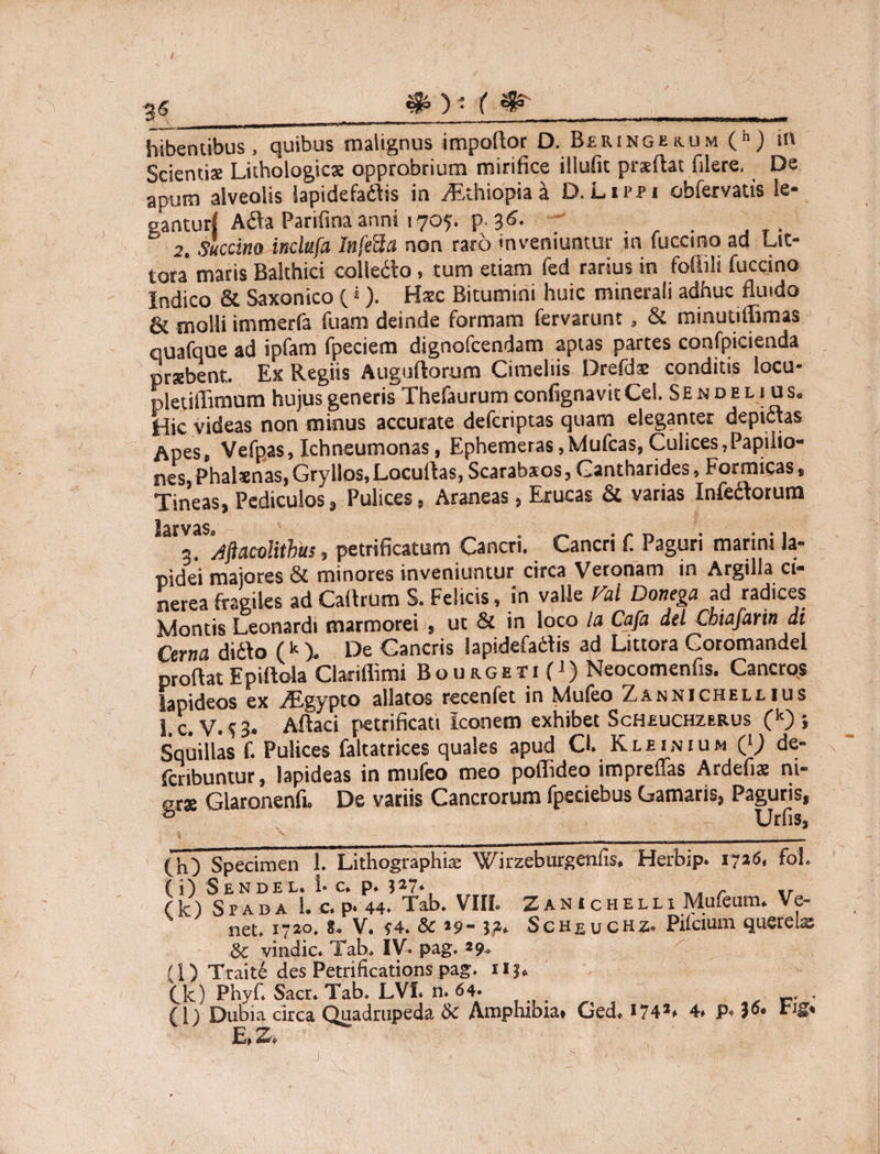 &) • ( & 36___ hibentibus, quibus malignus importor D. Beringuum (h) in Scientiae Lithologics opprobrium mirifice illufit praeftat filere, De apum alveolis lapidefatfis in iEthiopiai D. Lippi obfervatts le- santurf A&a Parifina anni 1705. p. 36. . 2. Suema inclufa InfeUa non raro inveniuntur in fuca no ad Lit¬ ton maris Bakhici colledto, tum etiam fed rarius in fofiili fuccino Indico & Saxonico ( * )• Kxc Bitumini huic minerali adhuc fluido & molli immerfa fuam deinde formam fervarunt , & minutiilimas quafque ad ipfam fpeciem dignofeendam aptas partes confpicienda prxbent. Ex Regiis Auguftomm Cimeliis Drefdae conditis locu- pletiiTimum hujus generis Thefaurum confignavit Cei. SendeliuSo Hic videas non minus accurate deferiptas quam eleganter depidtas Apes, Vefpas, Ichneumonas, Ephemeras,Mufcas,Culices,Papilio¬ nes, Phalsnas, Gryllos, Locurtas, Scarabxos, Cantharides, Formicas, Tineas, Pediculos, Pulices, Araneas, Erucas & varias Infectorum 3. Ajiacolithus, petrificatum Cancri. Cancri f. Paguri marini la¬ pidei majores & minores inveniuntur circa Veronam in Argilla ci¬ nerea fragiles ad Cartrum S. Felicis, in valle Val Donega ad radices Montis Leonardi marmorei , ut & in loco la Cafa delCbiajarindi Cerna didto (k). De Cancris lapidefadtis ad Littora Goromandel proflat Epirtoia Claxiffimi Bourgeti (J) Neocomenfis. Cancros lapideos ex ^gypto allatos recenfet in Mufeo Zannichellius l.c. V.$3* Artaci petrificati iconem exhibet Scheuchzerus (k) *, Squillas f. Pulices faltatrices quales apud Cl. Kleinium (}) de- fcnbuntur, lapideas in mufeo meo poflideo impreffas Ardefix ni- ers Glaronenfi» De variis Cancrorum fpeciebus Gamaris, Paguris, 13 Urfis, (h) Specimen 1. Lithographiae Wirzeburgenfis, Herbip. 1726. foL (i) Sendel. 1« c* p* }»7* r ir (k) Spada 1. c. p.44. Tab. VIIL Zan 1 chelli Muleum. Ve- net. 1720. 8. V. 54. & »9- Scheuchz. Piicium querelx 8c vindic. Tab. IV. pag. 29* (l) Traitd des Petrifications pag. Ck) Phyf. Sacr. Tab. LVI. n. 64» , (i; Dubia circa Quadrupeda 6c Amphibia* Ged» I74l* 4. P« rig* E* Z* /