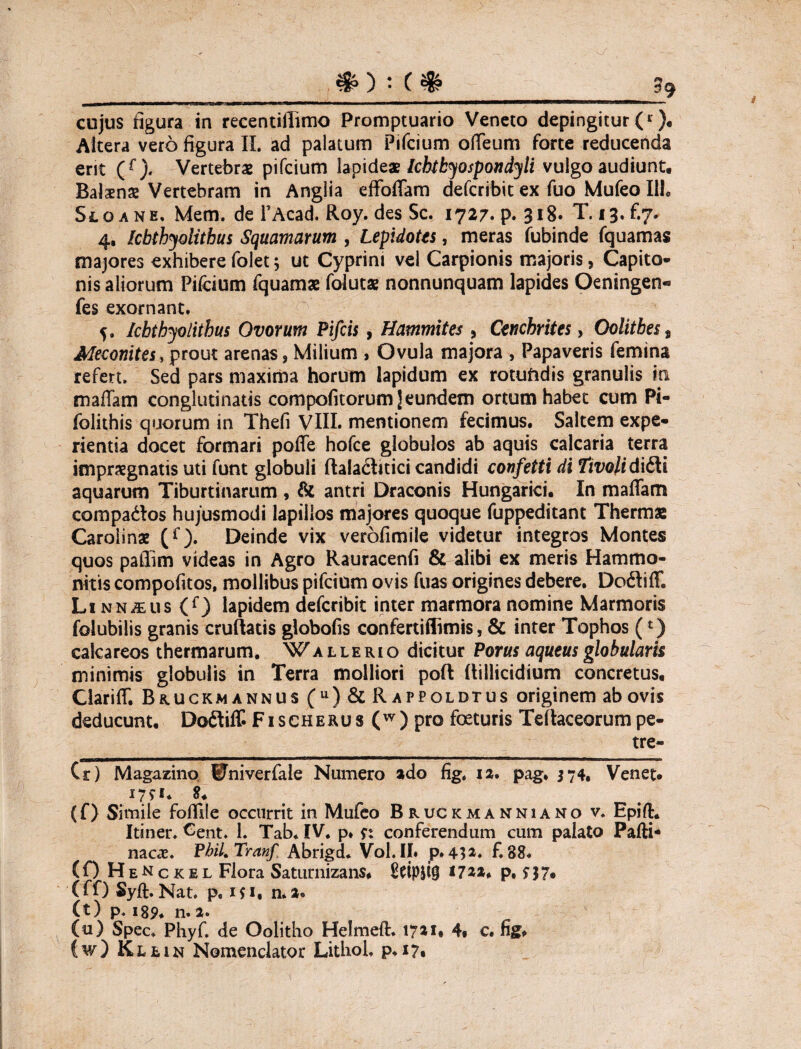 #) : (* i9 cujus figura in recentiilimo Promptuario Veneto depingitur (r). Altera vero figura II. ad palatum Pifcium offeum forte reducenda erit (f). Vertebrae pifcium lapideat Icbtkyospondyli vulgo audiunt. Balaenae Vertebram in Anglia effoffam defcribit ex fuo Mufeo 111. Sloane, Mem. de FAcad. Roy. des Sc. 1727. p. 318. T. 13.^7. 4, Icbthyolithus Squamarum , Lepidotts, meras fubinde fquamas majores exhibere folet 5 ut Cyprini vel Carpionis majoris, Capito¬ nis aliorum Pifcium fquamae folutae nonnunquam lapides Oeningen- fes exornant. S» Icbthyolithus Ovorum Pifcis, Hammites 5 Cenchrites, Oolithes s Meconites, prout arenas. Milium » Ovula majora , Papaveris femina refert. Sed pars maxima horum lapidum ex rotuftdis granulis in maffam conglutinatis compofitorum ]eundem ortum habet cum Pi- folithis quorum in Thefi VIII. mentionem fecimus. Saltem expe¬ rientia docet formari poffe hofce globulos ab aquis calcaria terra impraegnatis uti funt globuli flalachtici candidi confetti di Tivoli didli aquarum Tiburtinarum , & antri Draconis Hungarici. In maffam compa&os hujusmodi lapillos majores quoque fuppeditant Thermae Carolinae (f). Deinde vix verbfimile videtur integros Montes quos pafiim videas in Agro Rauracenfi & alibi ex meris Hammo- nitis compofitos, mollibus pifcium ovis fuas origines debere. Dodtiff. LiNN,&us(f) lapidem defcribit inter marmora nomine Marmoris folubiiis granis cruftatis globofis confertiflimis, & inter Tophos (*) calcareos thermarum. Wa l le ri o dicitur Porus aqueus globularis minimis globulis in Terra molliori poft (tillicidium concretus, Clariff. Br.uckmannus (u) & Rappoldtus originem ab ovis deducunt. Do&iff Fischerus (w) pro foeturis Teftaceorumpe- tre- (r) Magazino BFniverfale Numero ado fig, 12. pag. 374. Venet. 17**« (O Simile foffile occurrit in Mufeo Bruckmanniano v. Epirt. Itiner. Cent. 1. Tab. IV. p. r: conferendum cum palato Parti- nacae. Pbil.Tranf Abrigd* Vol.II. p»4$2. f.88. (O HeNckel Flora Saturnizans, I7aa. p, s37. (ff) Syft. Nat. p, Mi, n*2. (t) p. i85>. n. 2. (u) Spec. Phyf. de Oolitho Helmeft. 17»r* 4« e. fig. (w) Klein Nomenclator Lithol. p. 17*