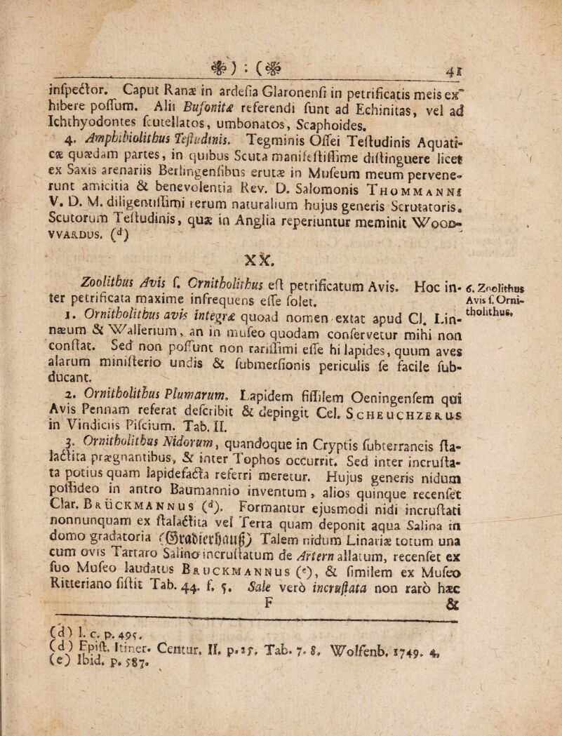 #) (# 4 i infpe£tor. Caput Rana: in araefia Glaronenfr in petrificatis meis ex* hibtie poffum. Alii Biijoflitd referendi funt ad Echinitss, vel ad Ichthyodontes fcutellatos, umbonatos, Scaphoides. 4, Amphihiolithus Tefiudtnis. Tegminis Offei Teiludinis Aquati- esc quaedam partes, in qusbus Scuta manifefliflime diifinguere licet ex Saxis arenariis Berhngenfibos erutas in Mufeum meum pervene® runt amicitia di benevolentia Rev. D. Salomonis Thommanni V, D. M. diligentillimi rerum naturalium hujus generis Scrutatoris* Scutorum Teftudinis, qus in Anglia reperiuntur meminit Wooi> VVA&DUS, (d) I Zoolithus Avis f. Crnitholithus eft petrificatum Avis* Hoc in- <?.Zoeiitho$ ter petrificata maxime infrequens e (Te folet. Avis CGrni- 1. Ornitholitbus avk integrd quoad nbmin extat apud Cf Liri-tbollthus* namrn di ^alienum, an in mufeo quodam confervetur mihi non conflat. Sed non pofunt non ranilimi elTe hi lapides, quum aves alarum onniRerio undis & fubraedlonis periculis fe facile fub- ducant. 2» Ornitholitlus Plumarum* Tapldem fillilem Oeningenfem qui Avis Pennam referat delcribit & depingit Ceb Scheuchzeku-s. in Vindiciis Pifciutn. Tab. II. Ornitbolitbus Nidorum, quandoque in Cryptis fubterraneis fla- Jactsta praegnantibus-, Sr inter Tophos occurrit* Sed inter incrufta* ta potius quam lapidefacila referri meretur. Hujus generis nidum pofndeo in antro Baumannio inventum 5 alios quinque recenfet Qar, Bruckmannus (d). Formantur ejusmodi nidi mcrufbti nonnunquam ex fla!a6lita vel ferra quam deponit aqua Salina m domo gradatoria Talem nidum Linarie totum una cum ovis Tartaro Salino incrullatum de Artem allatum, recenfet ex fuo Mufeo laudatis B&uckmannus (e), & limiiem ex Mufeo Ritieriano bitit f ab. 44. f, Sak verb incruftata non raro haec _ x F • & (d> l.c. p. 49*. Ce) Ibid* p* $87«*