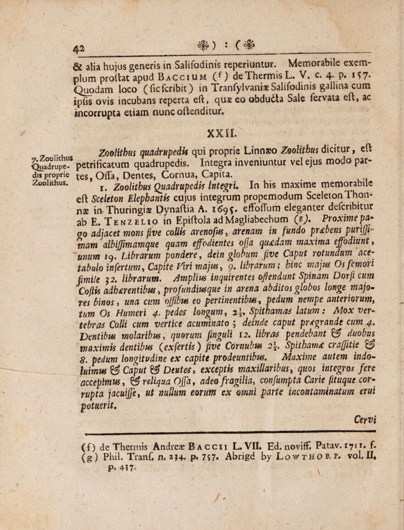 #) : c # & alia hujus generis in Salifodinis reperiuntur. Memorabile exem- ' pium prodat apud B accium (^) de Thermis L» V, c. 4' P* Quodam loco (ficfcribit) in Tranfylvaniae Salifodinis gallina cum ipfis ovis incubans reperta eft, qus eo obdudla Sale fervata eft, ac incorrupta etiam nunc oflenditur. XXII. Zoolithus quadrupedis qui proprie Linnso Zoolithus dicitur, eft petrificatum quadrupedis. Integra inveniuntur vel ejus modo par¬ dis proprie tes, Offa, Dentes, Cornua, Capita. Zoolithus. r Zethus Quadrupedis Integri. In his maxime memorabile eft Sceleton Elephantis cujus integrum propemodum Sceleton Thon- n® in Thuringis Dynaftia A. 169*. effodum eleganter defcnbitur ab E. T e n z e l i o in Epiftola ad Magliabechum (e). Proxime pa- go adjacet mons five collis arenofus, arenam in fundo prabens puriffi- mam albijfmamque quam effodientes ojja qu£dam maxima effodiunt, unum 19. Librarum pondere, dein globum five Caput rotundum ace¬ tabulo infertum. Capite Piri majus, 9. librarum; hinc majus Os femori fimile 32. librarum. Amplius inquirentes oftendunt Spinam Dorji cum Cojlis adherentibus, profundiusque in arena abditos globos longe majo¬ res binos, una cum offibus eo pertinentibus, pedum nempe anteriorum, tum Os Humeri 4. pedes longum, 2}. Spithamas latum; Mox ver¬ tebras Colli cum vertice acuminato ; deinde caput prsgrar.de cum 4. Ventibus molaribus, quorum fmguli 12, libras pendebant & duobus maximis dentibus (exfertis) five Cornubus 2}. Spithama craffitie & 8. pedum longitudine ex capite prodeuntibus. Maxime autem indo- -__ luimus & Caput & Dentes, exceptis maxillaribus, quos integros fere accepimus, & reliqua Offa, adeo fragilia, confumpta Carie fituque cor¬ rupta jacuijje, ut nullum eorum ex 'amni parte incontaminatum erui potuerit. < Cervi (f) de Thermis Andre* Baccii L. VII. Ed.noviflf. Patav. 1711. f. (g) Phil. Tranf. n. »$+. p. 757. Abrigd by Lowthorp. vol. II, P. 417- ,