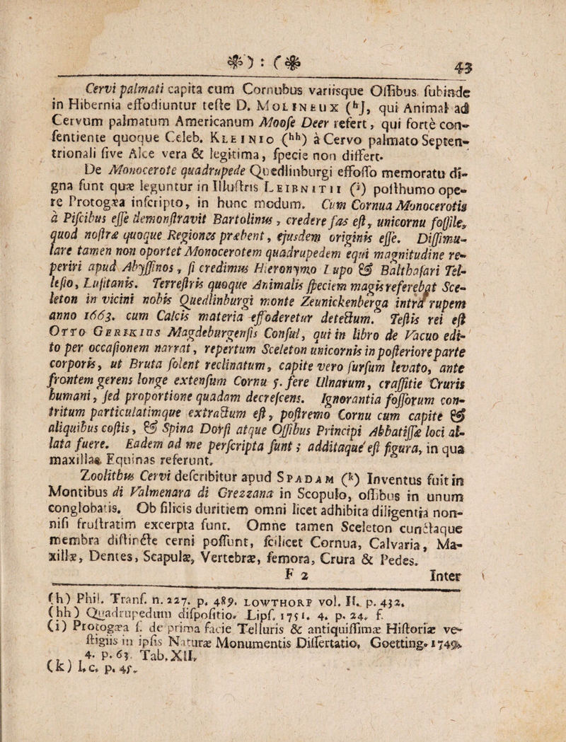 Cervi palmati capita cum Cornubus varirsque Offibus, fubinde in Hibernia effodiuntur tefte D. Mouneux (hJ, qui Animat ad Cervum palmatum Americanum Moofe Deer refert, qui fortecon- fentiente quoque Celeb. Kleinio (hh) aCervo palmato Septen¬ trionali live Alce vera & legitima, fpecie non differt- De Monocerote quadrupede Qpedlmburgi effoffo memoratu di¬ gna funt quae leguntur in Ilkiftris Leibnitii (») polthumoope¬ re Protogva infcripto, in hunc medum. Cum Cornua Monocerotis a Pifcibus ejfe demonftravit Bartalinus, credere fas eft, unieornu foffik, quod m(lr£ quoque Regionx probent, ejusdem originis ejfe. Diffimtt- iave tamen non oportet Monocerotem quadrupedem equi magnitudine re* periri apud Abyffinos, fi credimus Hieronymo lupo Balthafari Tei- hfio, La fit anis. Terreftris quoque Animalis fpeciem magis referebat Sce- leton in vicini nobis Quedlinburgi monte Zeunickenberga intra rupem anno 166}. cum Calcis materia effoderetur deteBum. TejUs rei eft Otto Gerikins Magdeburgenfis Confui, quiin libro de Vacuo edi¬ to per occajionem narrat, repertum Sceleton unicornis in pofterioreparte corporis, ut Bruta folent reclinatum, capite vero furfum levato, ante frontem gerens longe extenfum Cornu y. fere Ulnarum, craffitie Cruris humani, jed proportione quadam decre/cens. Ignorantia fojjbruw con¬ tritum particulatimque extraftum eft, poftremo Cornu cum capite aliquibus coftis, & Spina Doffi atque Offibus Principi Abbatiffe loci al¬ lata fuere. Eadem ad me perferipta funt s addiiaque' eft figura, in qua maxilla* Equinas referunt, Zoolitbus Cervi defcnbitur apud Spjidam (*) Inventus fuit in Montibus di Valmenara di Grezzana in Scopuio, offibus in unum conglobatis. Ob filicis duritiem omni licet adhibita diligentia norr- nifi fruilratim excerpta funt. Omne tamen Sceleton cunilaque membra diffrfle cerni poflbnt, fol.eet Cornua, Calvaria, Ma- xills. Dentes, Scapulae, Vertebrae, femora. Crura & Pedes. _____ ^ 2 Inter (h) Pnil. Tranf. n. 327. p. 489. lowthokj vol. If. p. 452, (hh) Quadrupedum difpolitio. Lipf. 1751. 4. p. 24, £ (i) Protog,Ta L de prima facie Telluris & antiquiflimas Hi flori se ve~ ftsgiis in ipfis Naturas Monumentis Differtat!©, Goetting» 174% 4* P-6* Tab.Xll, vKj 1» Cfi p. 4f „