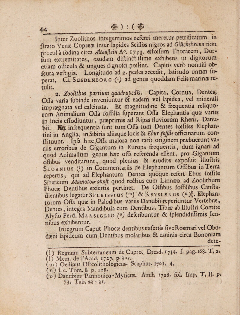 Inter Zoolkhos integerrimos referri meretur petrificatum in flrato Venae Cupreae inter lapides Sciflbs nigros ad Glncksbrurm non procul a fodina circa Altenftein A°. 17*3. effoffum Thoracem, Dor- fum extremitates, caudam diflindMime exhibens ut digitorum etiam oflicula & ungues dignofci poffmt. Capitis vero nonnifi ob- fcura veltigia. Longitudo ad 2. pedes accedit, latitudo unum fu- peratf Cl. Suedeneoiig (1) ad genus quoddam Felis marinae re¬ tulit. 2. Zoolithus partium quadrupedis. Capita, Cornua, Dentes, Offa varia fubinde inveniuntur & eadem vel lapidea, vel minerali impraegnata vel calcinata. Et magnitudine & frequentia reliquo¬ rum Animalium Offa foffilia fuperant Offa Elephantis quae variis in locis effodiuntur, praeprimis ad Ripas fluviorum Rheni, Danu¬ bii, Nfc infrequentia funt tum Offa tum Dentes fofliles Elephan¬ tini in Anglia, inSibiria aliisque locis & Ebur fofiile officinarum con- flituunt. Ipfa hi;c .Offa majora non raro originem praebuerunt va¬ riis erroribus de Gigantum in Europa frequentia, dum ignari ad quod Animalium genus haec offa referenda effent, pro Gigantum oiTibus venditarunt, quod plenius & erudite expofuit Illuftris Sloanius 0 in Commentariis de Elephantum Offibus inTerra repertis 5 qui ad Elephantum Dentes quoque refert Ebur foflile Sibiricum Mamotofrakoft quod redius cum Linnaeo ad Zoolithum Phocae Dentibus exfertis pertinet. De Offibus foililibus Canfta- dienfibus legaturSpleiss 1 us (m) &Keysl£&us (n)l» Elephan- torum Offa quae in Paludibus variis Danubii reperiuntur Vertebrae, Dentes, integra Mandibula cum Dentibus, Tibiae abllluftri Comite Alyflo Ferd. Ma&siglio (°) deferibuntur & fplendidiffimis Ico¬ nibus exhibentur. -L Integrum Caput Phocae dentibus exfertis five Rosmari vel Obo- daeni lapideum cum Dentibus molaribus & caninis circa Bononiam (!) Regnum Subterraneum de Cupro. Drcsd. 17H’ £ pag.i68* T, s- (l) Merm de PAcad. 1727* (m) Oedipus Offeolithologicus. Scaphiis. 1701, 4. (n) 1. c. Torru I. p. 128. (o) Danubius Pannonico-My ficus* Amfl* fol» Lnp. T* II. p* 71» Tab» sS - ji*
