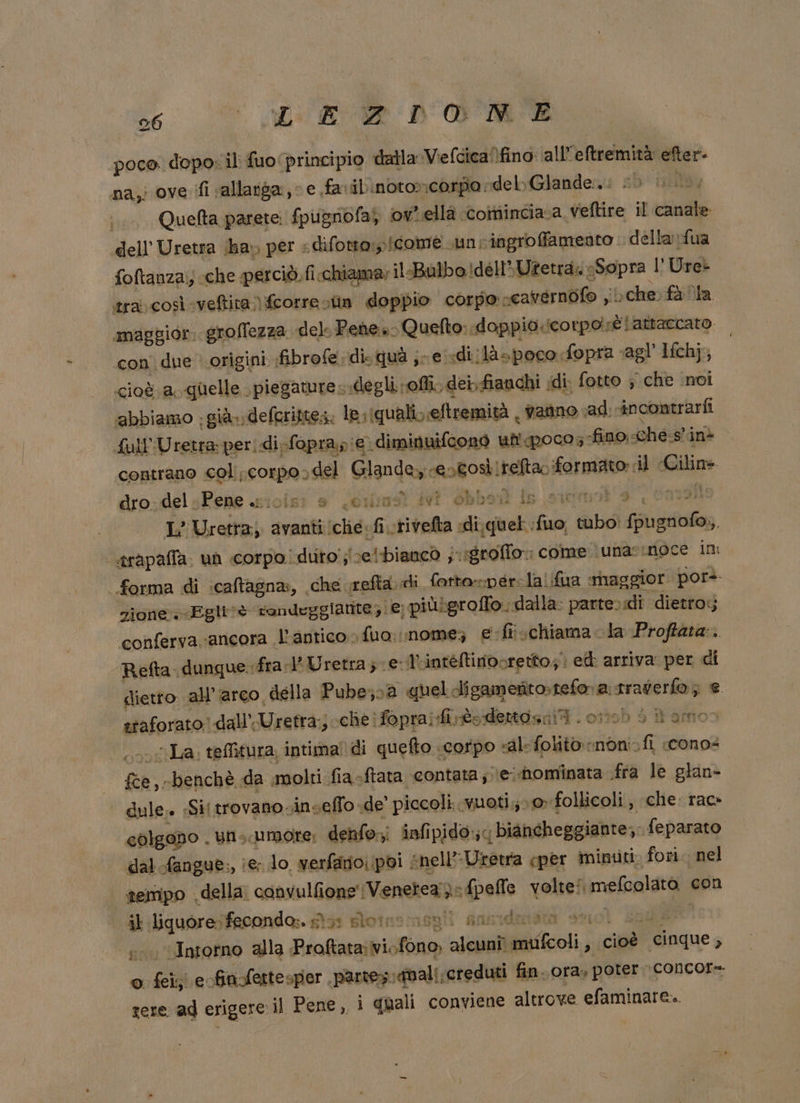 poca. dopo: il fuo ‘principio dalla Vefcica)fino all’eftremità efter. na, ove ifi vallanga,&lt; e favilinotoncorpo deli Glandei sb | | Quefta parete: fpugnofa; ov'ella ‘cominciava veftire il canale dell''Uretra ha» per « difotto,;!icome. unringroffamento della fua foftanza;; che perciò. fi.chiama» il-Balbo!dell»Utetra. Sopra l' Ure» tra; così veftita {corre in doppio corpo scavernofo jbche fà la maggior. grollezza del Pene. Quefto:.doppio.icorpo;sè attaccato con due origini fibrofe disquà j-e sdi:làspoco fopra ‘agl’ Lfchj, cioè a quelle piegature degli roffi, dei,fianchi idi; fotto ; che ino! ‘abbiamo già» deftrittes. lesiqualiveftremità | vanno ad. incontrarfi f{ull'Uretra perdi -foprap ie) diminuiftono uti pocos-fino.-che s'inè contrano col corpo;del Glande, e»tosìireltao formato; il «Ciline dros06ì sPene aicisi »' /0xas NT Sbbod ll sl eni L° Uretra, avanti che: fi. rivelta idi;quel ;fuo, tubo: pugnofo.,. « î d A ì î È # -«trapafia. un «corpo. duto';'veibianc0 j«rgroffo»: come ‘unasinoce im forma di :caltagna:, che refta.di farto-per-la. fua rhaggior por&gt;- zione. Eglivè rondeggianite; e; piùbgroffo. dalla: parte» .di dietro:; ‘conferva ancora l'antico» fuo. nome; € fi schiama la Proftata:. Refta. dunque fra:1° Uretra; e: trinteftinocretto;: ed: arriva. per di dietto all'arco della Pube;va quel digamerito.tefo a. traverfo ; € staforato; dall’ Ui efra:jche ifoprai:fite-dettosni . 01195 $ it amoo pigna DÈ teitura. intima! di quefto «Corpo sale folito nono fi cConos fce, -benchè da molti fia-ftata contata ;;\e..hominata fra le glan- dule. Sii trovano .inseflo .de' piccoli..vuoti,; 0» follicoli, che: rac» eòlgono . uns.umore; denfo:;; infipido:;&lt; biancheggiante, feparato dal -fangue:, ie: lo. verfario; (poi snell’Dretta cper minuti. fori. nel tempo della. convulfione'Venetea): fpelle volte! mefcolato con il liquore: fecondo». sì»: sloins:insgii ansidenstà suol asi si Intorno alla Proftata:vi.fono, alcuni mufcoli , cioè cinque, ©. fei; e-finfettesper partes. quali creduti fin. ora, poter CONcor= rere ad erigere il Pene, i quali conviene altrove efaminare..