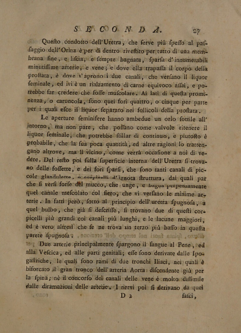 Ss POR A A SC Quefto . condotto: cdell'Wcerra | che ferve più {pello ‘al pat faggio «dell’Orinaèrperodi dentro riveftito? ‘peritutto dirana. memi brana fine e» lifciaziicernfempre.! bagnata 0 fparfad° innumetabili minutifimerattetie;te vene; eldovecellactrapaffa il corpo. della proftata, è ‘dove ‘8’ apronosi due canali; che verfano' il liquor feminale, «ed ivi‘è un fialZamento di carne: equivoco aflai, e po- ttebbe' far: credere» ché! folle mufcolarev' Ai lati; di ‘quefta promi= nenza:; o caruncola; fono» queicfori quattro; ovcinque iper’ patte persirquali efce il’ liquorcfeparato nei follicoli della! proftata, Le lcabua feminifere hanno ambedue un orlo ‘fottile all’ intorno ;) ma non ‘pare; che ‘pollano come valvole ritenere il liquor; fegninale ‘che: potrebbe)ftillar di continuo, e piutofto è probabile chela: fuarpoca: quantità ed ‘altrerragioni lò tratten= gano altrove, mali vicino jicome verrà noccafione a noi di ve- dere. Del tefto poi fulla ifuperficievinterna»!dell? Urétra' fiLtrova= no delle» foffette ,' e’ dei ‘fori peo , che fono:tanti canali di pic- cole iglandnletto , ancsipia d'i nota ftruttura, dai quali pat che:fi verfiforfe-dé1 micco,: che . unge je»bagua'perpetuamente quel:canale mefcolato = dol fiero; che wi: verfanore minime. ar- terie . In fatticperò:; ‘fottoval principio» dell’uretta: fpugnofa jica quel bulbo, :che’ già fi defcriffe, fi trovano: due di’ quefti core. picelli più grandi coi canalir più lunghi; ele lacune maggiori; ed'tè ‘vero; altresì. ni fe ‘ne. arova' un dito cu Maori in: :queta. coppi ifpussolae anoirs19 “lisb ogm: len itout siniat onglid Due arterie. piloti a e il finpateit al Pene) , red dl Vefcica, ed ‘alle parti genitali; effe fono derivate dalle Ipos gaftriche:; ne quali fono rami ‘di due tronchi Iliaci, nei:quali è biforcato il gran tronco 'dell’arteria» Aorta: difcendente giù per la” fpina ;onè-il'concorfo' deli canali: delle: vene sè omolto»:diffimile falte: diramazioni delle» artetiens Iimiervi poi fi derivano .da quei