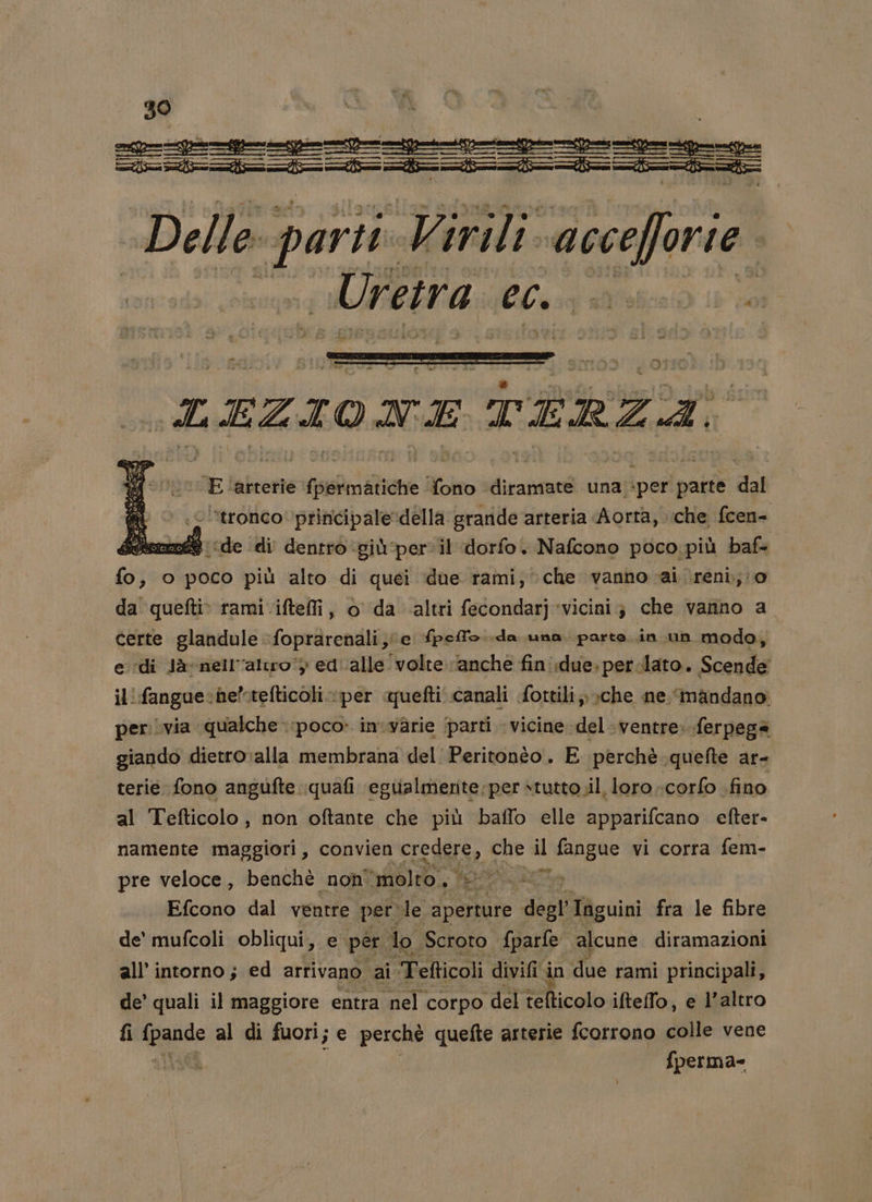 —_—--c---e-ce soa Delle pes i Virili so Uretra EC0:9 abfabce 1 * iui ia CRA LEZIONI W ME MR Le ll E ‘arterie {permatiche fono diramate una per parte dal ‘tronco principale della grande arteria Aorta, che fcen- 1ede di dentro giù:per il dorfo. Nafcono poco più baf- pr o poco più alto di quei ‘due rami, che vanno cai reni; ; 0 da quefti&gt; rami .ifteffi, o da altri fecondarj vicini; che vanno a certe glandule foprarenali, e Speffo..da una. parte.in.un modo, edi Javnell’altroy ed alle volte “anche finidue. perlato. Scende il'fangue:he”refticoli.per quefti canali fottili,, che ne ‘mandano. per via qualche poco» inwarie ‘parti vicine del. ventre. ferpega giando dietro ;alla membrana del Peritonto. E perchè .quefte at= terie fono angufte quafi egialmerite;per stutto.il. loro ‘corfo .fino al Tefticolo, non oftante che più ballo elle apparifcano efter. namente maggiori, convien credere, che il fangue vi corra fem- pre veloce, benchè non molto. s RA Efcono dal ventre per: le. aperture degl’ Triguini fra le fibre de' mufcoli obliqui, e per lo. Scroto. Lparfe alcune diramazioni all’intorno ; ed artivano. ai Tefticoli divifi i in “he rami principali, de’ quali il maggiore entra nel corpo ‘del tefticolo ifteffo, e l’altro fi fpande al di fuori; e perchè quefte arterie fcorrono colle vene | fperma- Y