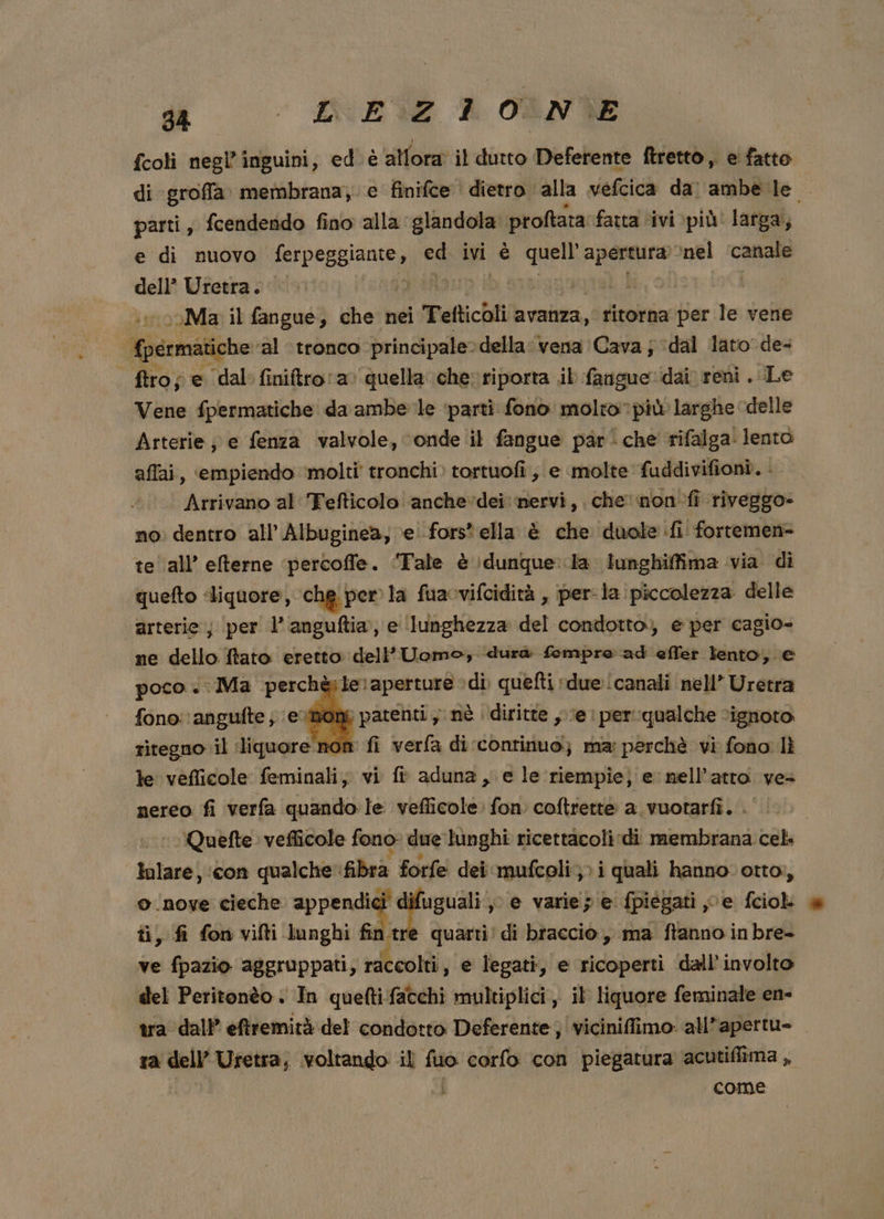 fcoli negl’inguini, ed è allora’ il dutto Deferente firettò,. e fatto di groffa. membrana, e finifce dietro alla vefcica dal ambe le. parti; fcendendo fino alla glandola. proftata fatta ‘ivi più larga, e di nuovo (erprgziante, ed ivi è MEA aagnino: te canale dell’ Uretra. i pytat o Psi «o0Ma il fangue, che nei Tefticoli avanza, ritorna per le vene {permatic che ‘al tronco principale»della ‘vena Cava ; ‘dal lato’ de+ . ftro; e dal: finiftro a ‘quella che riporta il fanigue dai reni . Le Vene fpermatiche da ambe le parti fono molto più larghe ‘delle Arterie ; e fenza valvole, ‘onde il fangue par‘ che rifalga lento affai, empiendo ‘molti tronchi) tortuofi , e molte fuddivifioni. . Arrivano al Tefticolo anchedei nervi, che non-fi riveggo- no. dentro all’Albuginea, e fors' ella è che duole fi fortemen= te all’ elterne ‘percoffe. “Tale è \dunque:ia iunghiffima via di quefto «liquore, che per) la fuacvifcidità , perla. piccolezza delle arterie ; ‘per l’anguftia, e ‘lunghezza del condotto), e per cagio- ne dello ftato eretto dell'Uomo, dura Sempre ad effer lento, e poco «Ma perchèiler aperture ‘di quefti due!canali nell’ Uretra fono: angufte; e né patenti, nè | diritte , e: per qualche ‘ignoto. ritegno il liquore non fi verfa di continuo.) ma: perchè vi fono lì te vefficole feminali; vi fi aduna , e le riempie) e nell'atto. ves nereo fi verfa quando le vefficole fon coftrettè a. vuotarfi, . | ‘’Quefte. vefficole fono due lunghi ricettacoli di membrana cel. lolare| ‘con qualche. fibra forfe dei mufcoli: i quali hanno. otto, o.nove cieche gi tr uguali, e varie; e fpiegati e fciok ti, fi fon vifti lunghi fi quarti! di braccio, ma ftanno inbre- ve fpazio aggruppati, rac iceolti, e legati, e ricoperti dall’involto del Peritonèo . In queftifatchi multiplici, il liquore feminale en- tra o sc del a Data) pene Pao come