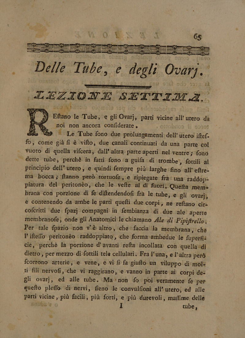 earn Delle Tube, e degli Cdl LEZIONE SETTIMA: x = ge Li vi ) Eftano le Tube; e gli Ovatj » patti vicine all utero di °° noi non ancora confiderate, | - * Le Tube fono due prolungamenti dell’ utero ifter. fo, come già fi è vifto, due canali continuati da una parte col vuoto di quella vifcera, dall’ altra: parte aperti nel ventre; fono dette tube, perchè ‘in fatti fono (a guifa di trombe, fottili al principio dell’utero; e quindi fempre più: larghe. fino all’ eftre- ma bocca ; ‘(ftanno petò tortuofe, e ripiegate. fra” una raddop- piatuta. del’ peritonto, chele velte al di fuoti, Quefta mem» brana con porzione di fe diftendendofi fra le .tube;.e gli ‘ovarj, e contenendo .da ambe le parti quefti due corpi; né reftano cit cofcritti due. fpazj compagni in fembianza di due ‘ale aperte membranofe; onde gli Anatomici le chiamano Ale di Pipiftrello. Per tale fpazio. non v'è altro, ‘che faccia ‘la membrana , ché l’ iftefo peritonèo ‘raddoppiato, ‘che forma ambedue le fuperfia cie, perchè la porzione d’avanti refta incollata con quella di dietto, per mezzo di-fottili tele cellulari. Fra l° una, e l’altra però fcorrono arterie, le vene, e vi fi fa giufto: un viluppo di'mol- ti fili nervofi, che vi raggirano, e vanno in parteai corpi de- gli ovarj, ed alle tube. Ma:non fo poi veramente fe per quefto pleffo ‘di nervi, fieno le ‘convulfioni all’ uteroj ed alle pda vicine , più facili, più forti, e più durevoli, maffime delle de tube,