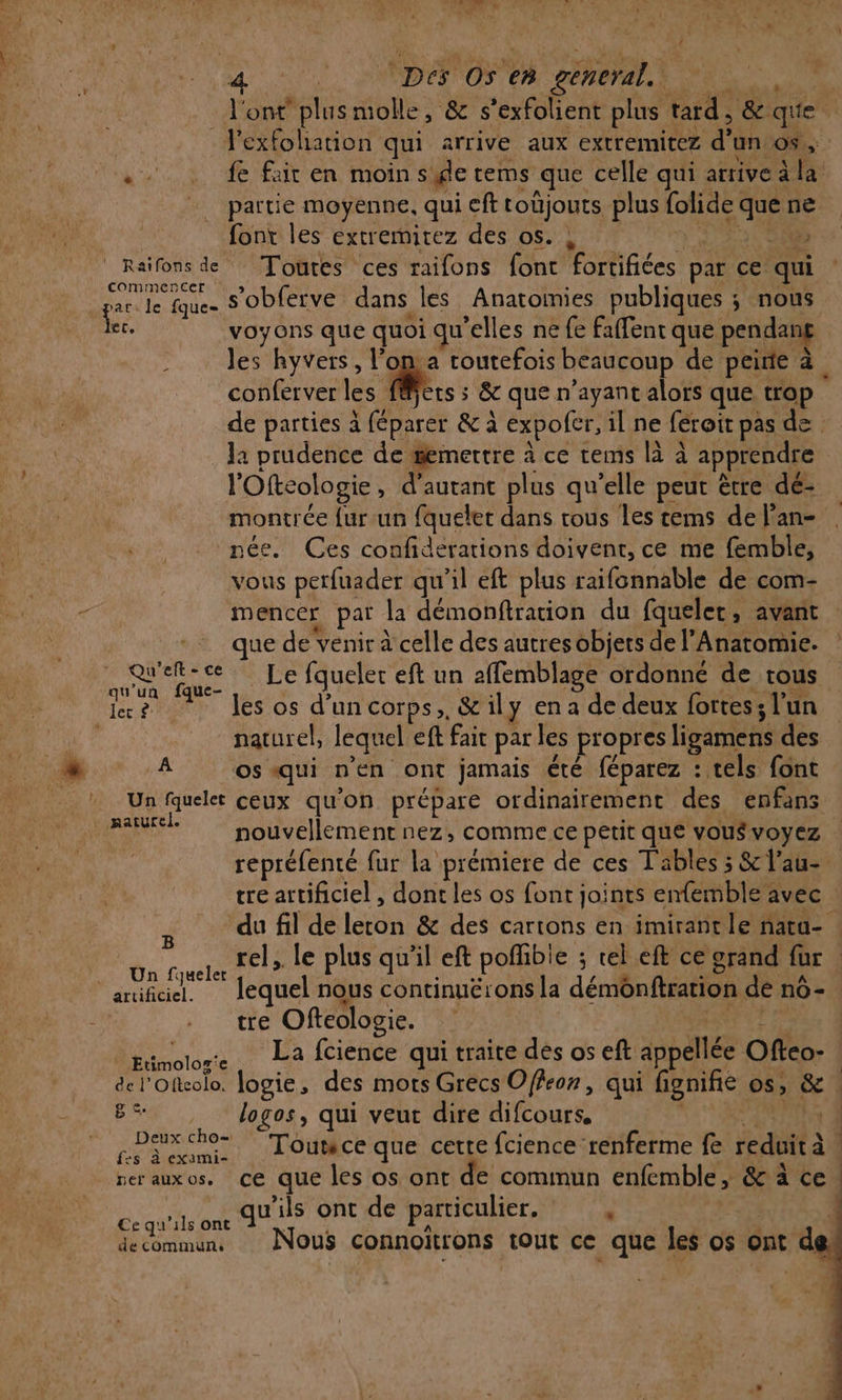 LE A Cia Der OS ER OEM LA l'ont plus molle, &amp; s’exfolient plus tard, &amp; que -Fexfolation qui arrive aux extremitez d’un os, «fe fair en moin sde tems que celle qui ariveäla partie moyenne, qui eft toùjouts plus folide que ne font les extremitez des os. | ny STATS Raïfonsde Toutes ces raifons font fortifiées par ce qui commencer , . . ar. le fque- Sobferve dans les Anatomies publiques ; nous dec, voyons que quoi qu'elles ne fe faffent que pendang des hyvers, l’oma routefois beaucoup de peinte à conferver les Mers ; &amp; que n'ayant alors que trop de parties à féparer &amp; à expofer, il ne feroit pas de : . Ja prudence de gemettre à ce tems là à apprendre l'Oftcologie, d'autant plus qu’elle peut ètre dé- montrée {ur:un fquelet dans tous les cems de l’an- née, Ces confiderations doivent, ce me femble, vous perfuader qu'il eft plus raifonnable de com- mencer par la démonftrarion du fqueler, avant que de venir à celle des autres objets de l’'Anatomie. Qu'eft-ce Le fquelet eft un affemblage ordonné de tous qu'un fque- : : rs ES re les os d’un corps, &amp;ily en a de deux fortes; l'un | naturel, lequel eft fait par les propres ligamens des os qui n’en ont jamais été féparez : tels font Un fquele ceux qu'on prépare ordinairement des enfans Raul Houvellement nez, comme ce petit que vou$voyez repréfenté fur la prémiere de ces Tables 5 &amp; l'au- tre artificiel , dont les os font joints ememble avec | du fil de leron &amp; des cartons en imirantle nara- . ne rel, le plus qu'il eft pofhbie : tel eft ce grand far ‘arufiael. lequel nous continuérons la démonftration de n0- tre Ofteologie. RAT AL met Bérolore La fcience qui traite des os eft appellée Oftco- de l'Otkolo. logie, des mots Grecs Offeon, qui fignifie os, &amp; BS logos, qui veut dire difcours, | VASTES À Deux cho- h s - EE ES ; LPS rte. Toutce que cette fcience renferme fe reduit à ner auxos. ce que les os ont de comimun enfemble, &amp; à ce | LE - % Ce qu'ils ont qu ils ont de particulier. d decommun. Nous connoïtrons tout ce que les os ont di A