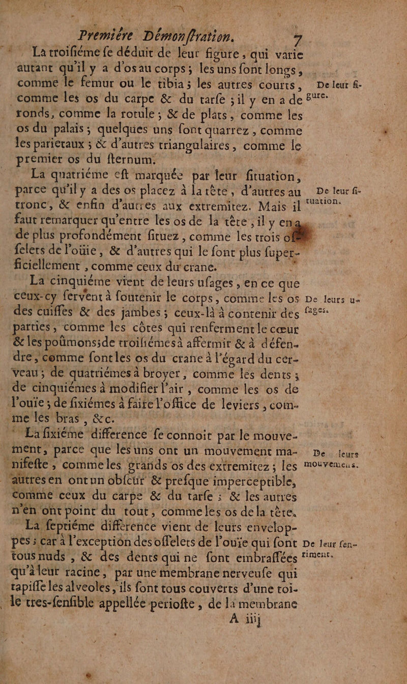 . La troifiéme fe déduit de leur figure ; qui varie autant qu'il y a d'osau corps; les uns font longs, comme le femur ou le tibia les autres courts, De leur &amp;- comme les os du carpe &amp; du varfe ;il yenades os du palais; quelques uns font quarrez , comme les parieraux ; &amp; d’autres triangulaires, comme le premier os du fternum. | | #. La quatriéme eft marquée par leur fituation, parce qu'il y a des os placez à larète, d'auttesau De teur f- tronc, &amp; enfin d’autres aux extremitez. Mais il 192 faut remarquer qu'entre les os de la tère il y eng dé plus profondément fituez , comme les trois o ficiellement , comme ceux du crane. . La cinquiéme vient de leurs ufages , en ce que ceux-cy fervent à fontenir le Corps, comine les o$ De leurs u- des cuifles &amp; des jambes; ceux-là à contenir des 85 parties, comme les côtes qui renfermentle cœur &amp; les poümonside troiliémesà affermir &amp; à défen- dre, comme fontles os du crane à l'égard du cer- de cinquiémes à modifier l'air , comme les os de ment, parce que les uns ont un mouvement ma- me leurs Les comme ceux du carpe &amp; du tarfe : &amp; les autres n En ont point du tout, comme les os dela tête. ” La fepriéme difference vient de leurs envelop- pes s car à l'exception desoffelers de l’ouïe qui font De leur fen- tousnuds , &amp; des dénts quine font embraffées ‘men. qu'leur racine, par une membrane nerveufe qui tapiffe lés alveoles , ils font tous couverts d’une toi. À äüj