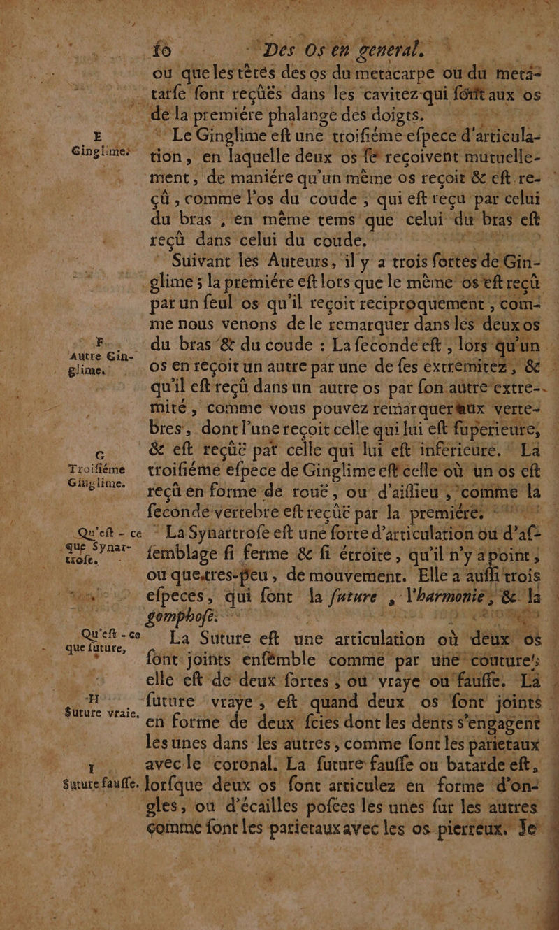 + 4 . RS ©: DA OP SPP NU. où quelestètés des os du metacarpe ou du metä= | tatfe font reçüës dans les cavirez qui f6fitaux os . de la premiére phalange des doigts. eh Ét _E “Le Ginglime eft une troifiéme efpece d'articula- Single” tion ,\en laquelle deux os f&amp; reçoivent muruelle- | ment, de maniere qu’un mème os reçoit &amp; eft re- çû , comme los du coude ; qui eft reçu par celui du bras , en même tems que celui du bras eft rect dans Celui du coûte. HNENErMnn * Suivant les Auteurs, il y a trois fortes de Gin- glime 3 la premiére eft lors que le mème’ os'eftrecû par un feul os qu'il recoit réciproquement , com- me nous venons de le remarquer dans les deuxos juin. de bras @ du coude : Laféconde ee on dun | glime, . … OS En féÇOIT un autre par une de fes EXTTeMITEZ , À qu'il eft recü dans un autre os par fon autre extre-. mité, comme vous pouvez remarquer@ux Verte- bres, dont l’une recoit celle qui lui eft fuperieure, È &amp; eft reçüë par celle qui lui eft inférieure. La Tioifiéme … troifiéme efpece de Ginglimeefcelle où un os eft Ms recû en forme dé rouë, où d'ailieu comme la feconde vertebre eftreçüë par la premiére, #0 Qu'eft- ce * La Synartrofe eft une forte d’articulation où d’af&gt; Er femblage fi ferme &amp; fi étroire, qu'il n’y apoi } | ou quetres-peu, de mouvement. Elle à aufitrois | 1 efpeces, qui font la furure , l'harmonie, &amp;°la 0 ne æ La Suture eft une articulation où ‘deux os * ‘font joints enfémble comme par une coutures … elle eft de deux fortes ; ou vraye ou'faufile. La : . us uture vraye , eft quand deux os font joints ‘en forme de deux fcies dont les dents s'engagent | . . Jesunes dans les autres, comme font les parietaux y. aveécle coronal. La future fauffe ou batardeeft, Suurefauffe. Jorfque deux os fonc articulez en forme d’on: _ gles, ou d'écailles pofces les unes fur les autres gomme font les parierauxavec les os pierreux. Je*