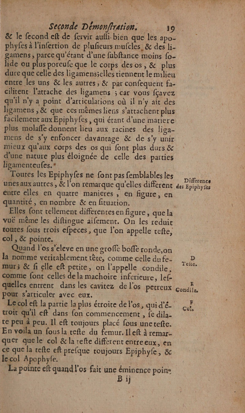 TO rt # LE d  Li! Et y À | J à Seconde Démonffration. 39 &amp; le fecond eft de fervir aufli-bien que les apo- phyfes à l'infertion de plufieurs mufcles_ &amp; des li. gamens , parce qu'étant d’une fubftance moins {o- lide ou plus poreufe que le corps desos, &amp; plus dure que celle des ligamensielles tiennent le milieu entre les uns &amp; les autres, &amp; par confequent fa- cilitent l’attache des ligamens ; car vous fcavez qu'il n'y a point d’articulations où il n’y ait des ligamens , &amp; que ces mèmes liens s’attachent plus facilement aux Epiphyfes , qui étant d’une matiere plus molaffe donnent lieu aux racines des liga- mens de s’y enfoncer davantage &amp; de s’y unir mieux qu'aux corps des os qui font plus durs &amp; dune nature plus éloignée de celle des païties ligamenteufes.*. . Toutes les Epiphyfes ne font pas femblables les unesaux autres , &amp; l’on remarque qu'elles different entre elles en quatre manieres , en figure, en uantité , en nombre &amp; en fituation. vuë même les diftingue aifement. On les reduie toutes fous crois efpeces, que l’on appelle tefte, col, &amp; pointe. | Quand l'os s’eleve en une otoffe boffé ronde,on la nomme veritablement tête, comme celle du fe. murs &amp; fi elle eft petite, on l'appelle condile, comme font celles dela machoire inferieure, lef- quelles entrent dans les cavitez de l'os perreux pour s'articuler avec eux. Lecol eft la partie la plus étroite de l'os, qui d'é- troit qu'il eft dans fon commencement , {e dila. te peu à peu. Il eft toujours placé fous unetefte. En voila un fousla cefte du femur. [Left À remar- quer quele col &amp; la refte different entreeux, en ce que la refte eft prefque toujours Epiphyle, &amp; lecol Apophyle. La poince eft quand l'os fair une éminence poins | B ij Difference des Epiphyfes Teite, E Gondile, F Cols