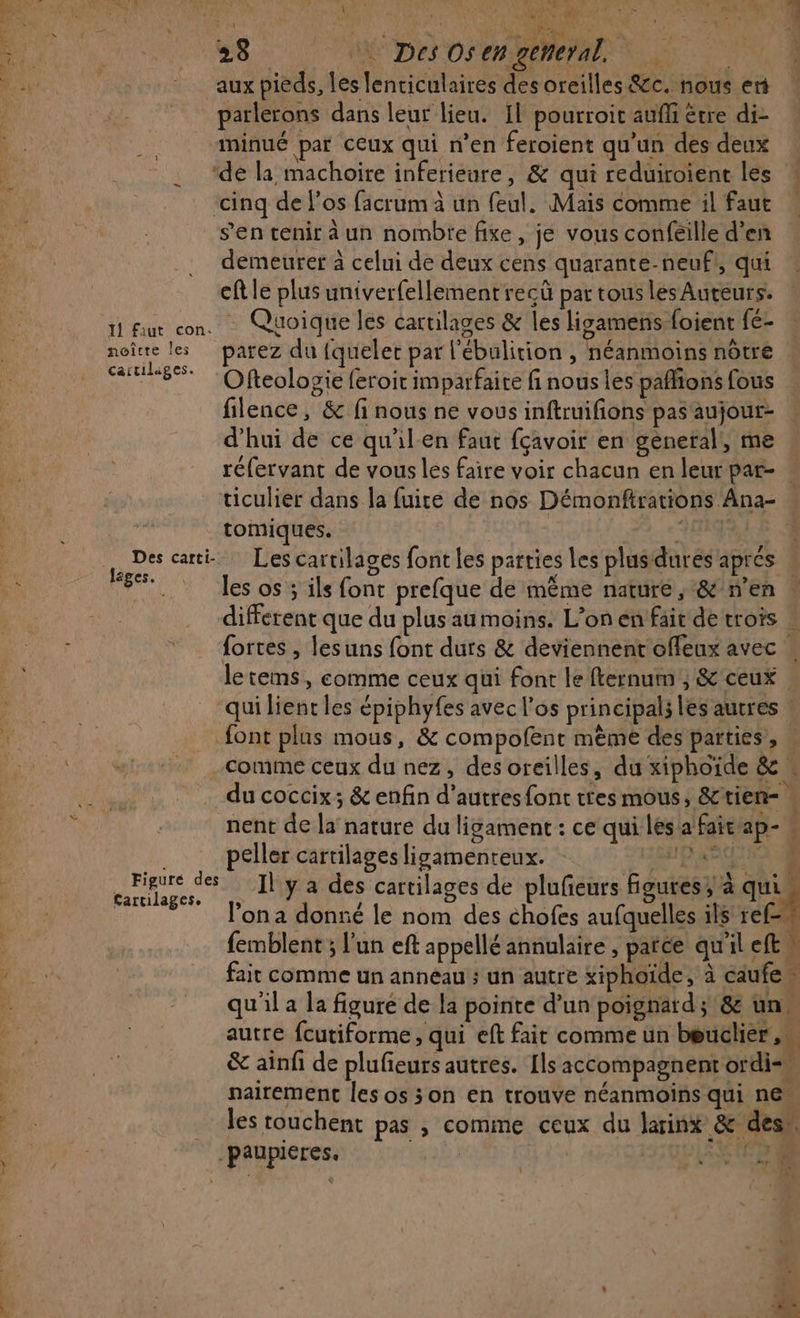 RS \ 12h i | nn &lt; DE: INR 28 DesOsengemeral aux pieds, les lenciculaires des oreilles &amp;c. nous en parlerons dans leur lieu. Il pourroit aufli être di- minué par ceux qui n’en feroient qu’un des deux ‘de la machoire inferieure, &amp; qui reduiroienc les cinq de l'os facrum à un feul. Mais comme il faut s’en tenir à un nombie fixe, je vous confeille d’en demeurer à celui de deux cens quarante-neufl, qui eftle plus univerfellement reçü par tous les Auteurs. noîcre les Cartilages. lâges. Cartilages. parez du {queler par l'ébulition , néanmoins nôtre Ofteologie feroit imparfaite fi nous les paflions fous filence, &amp; fi nous ne vous inftruifions pas aujour- d’hui de ce qu'ilen faut fçavoir en géneral!, me réfervant de vous les faire voir chacun en leurpar- tomiques. | les os ; ils font prefque de même nature, &amp; n’en different que du plus aumoins. L’on en fair de trois : fortes , lesuns font durs &amp; deviennent offeux avec , le tems, comme ceux qui font le fternum , &amp; ceux | qui lient les épiphyfes avec l'os principal; les autres font plus mous, &amp; compofent mème des parties, comme ceux du nez, des oreilles, du xiphoïde &amp; : du coccix; &amp; enfin d’autres font tres mous, &amp;tien- nent de la nature du liÿament : ce qui les a faicap- » peller cartilages lizsamenteux. ID RD OA 4 Il y a des cartilages de plufieurs figures, à qui l’on a donné le nom des chofes aufquelles ils re6i femblent ; l’un eft appellé annulaire , parce qu'il eft l fait comme un anneau ; un autre xiphoïde, à caufe ” qu'il a la figure de la pointe d’un poignard ; 8: un” autre fcutiforme, qui eft fait comme un béuclier &amp; ainfi de plufieurs autres. [ls accompagnent ordi nairement les os 5on en trouve néanmoïns qui ne les touchent pas , comme ceux du larinx &amp; desn paupieres. | NAS 2 f