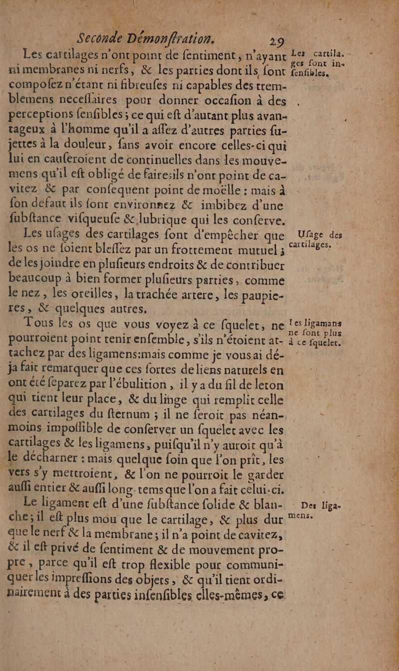 F a QUAI T. Qu QE Y J'TE ' ” | 13, Aer NEA 4, WA ( 2 s ; La ESS | ; Seconde Démonffration. 29 Les caftilages n’ont point de féntiment, n'ayant nimembranes ni nerfs, &amp; les parties dontils font compofez n'étant ni fibieufes ni capables des trem- blemens neceflaires pour donner occafion à des perceptions fenfibles ; ce qui eft d'autant plus avan- tageux à l'homme qu'il a affez d’autres parties fu- jettes à la douleur, fans avoir encore celles-ci qui lui en cauferoient de continuelles dans les mouve- mens qu'il eft obligé de fairesils n’ont point de ca- vitez &amp; par confequent point de moëlle : mais à fon defaut ils font environnez &amp; imbibez d’une fubftance vifqueufe &amp; lubrique qui les conferve. Les ufages des cartilages font d’empècher que lès os ne foient blefféz par un frottement mutuel ; de les joindre en plufieurs endroits &amp; de contribuer beaucoup à bien former plufieurs parties, comme le nez , les oreilles, la trachée artere, les paupie- res, &amp; quelques autres, Au Tous les os que vous voyez à ce fquelet, ne pourroient point tenirenfemble, s'ils n’étoienc at- tachez par des ligamens:mais comme je vous ai dé- ja fait remarquer que ces fortes deliens naturels en _ontété fCparez par l’ébulition , il y a du fil de leton qui tient leur place, &amp; du linge qui remplit celle des cartilages du fternum ; il ne feroit pas néan- moins impollible de conferver un fqueler avec les cartilages &amp; les ligamens, puifqu'il n’y auroit qu'à le décharner : mais quelque foin que l'on prit, les Vers s’y mettroient, &amp; l’on ne pourroit le garder aufh entier &amp; auffi long. tems que l'on a fait celui-ci. Le ligament eft d’une fubftance {olide &amp; blan- che; il eft plus mou que le cartilage, &amp; plus dur que le nerf &amp; la membrane; il n’a point de cavitez, &amp; il eff privé de fentiment &amp; de mouvement pro- pre, parce qu'il eft trop flexible pour communi- quer les impreffions des objers ; &amp; qu'il tient ordi- fenfbles, Ufage des cartilages. ’ Les ligamans ne font plus à ce fqueler. : Des liga- mens. Ée Piar D en