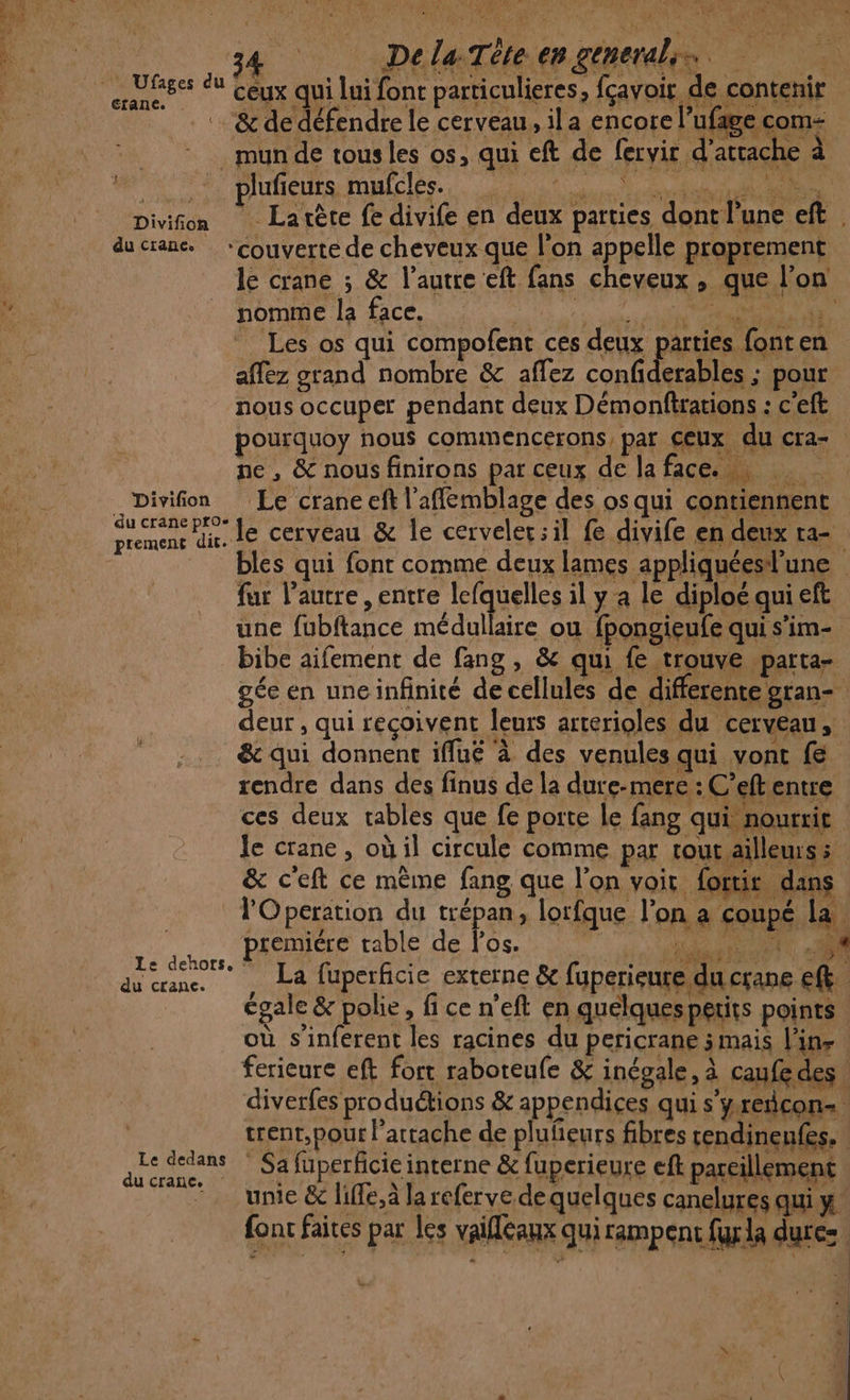 2 Ufages du 34 te crane. . mun de tous les os, qui _. plufieurs mufcles. Divifon Larète fe divife en d eft de fervir d'atrache à eux parties dont l’une eft le crane ; &amp; l’autre eft nomme la face. fans cheveux , que l’on du crane pros bibe aifement de fang, &amp; qui fe trouve parta- deur , qui recoivent leu &amp; qui donnent iflué à rs arterioles du cerveau, des venules qui vont fe pu premicre table de l'os. e denofs, : Le dedans du crane. : | M | Fe” |