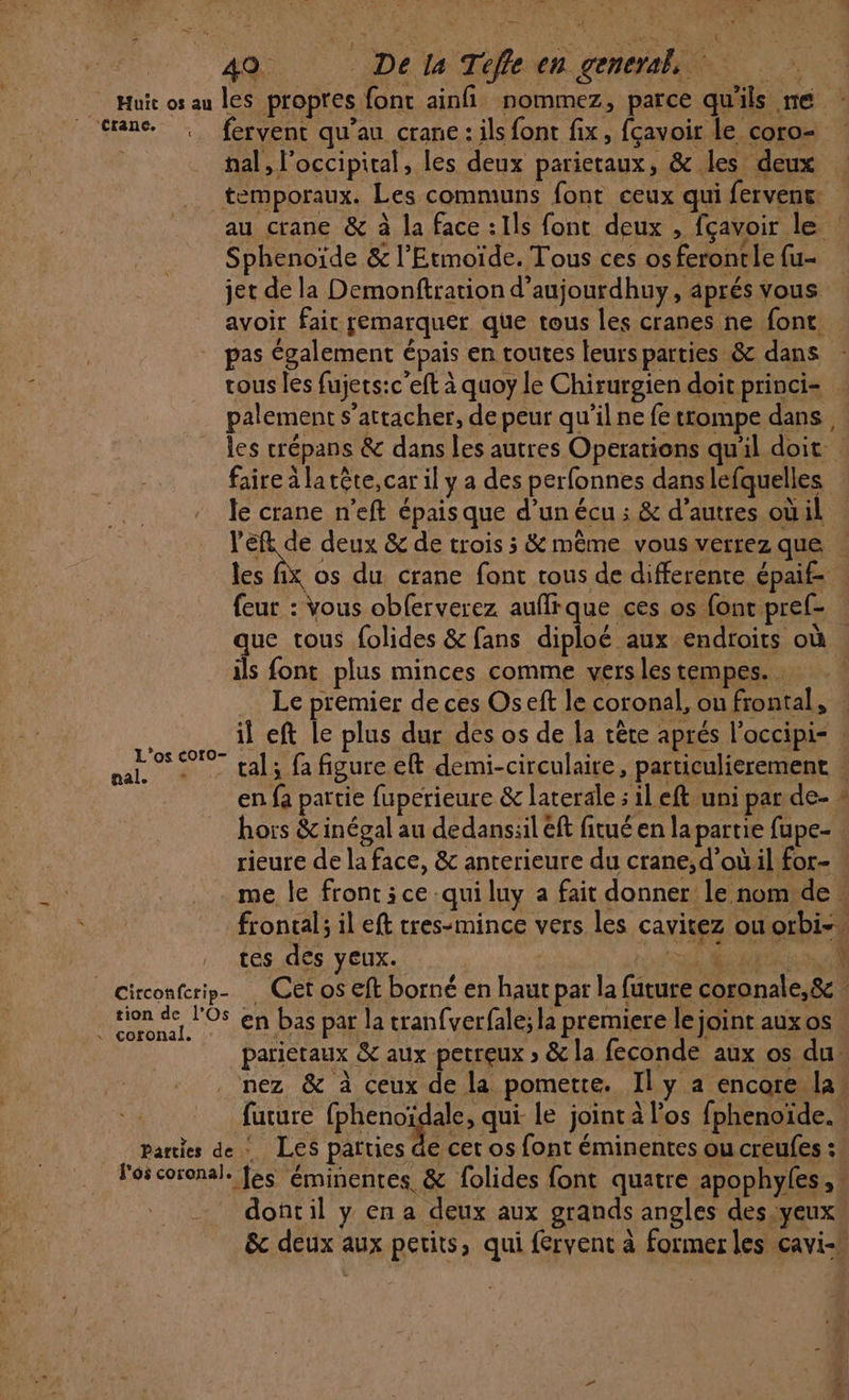 + 40. De la Tele en generah Huit os au les propres font ainfi nommez, parce qu'ils me … fervent qu’au crane: ils font fix, fçavoir le coro- hal, l’occipiral, les deux parietaux, &amp; les deux temporaux. Les communs font ceux qui fervent: au crane &amp; à la face : Ils fonc deux , fçavoir le : Sphenoïde &amp; l'Etmoïde, Tous ces os ferontle fu jet de la Demonftration d’aujourdhuy, aprés vous avoir fair remarquer que tous les cranes ne font. pas également épais en toutes leurs parties &amp; dans : vous les fujets:c'eft à quoy le Chirurgien doit princi= palement s’attacher, de peur qu'il ne fe trompe dans les crépans &amp; dans les autres Operations qu'il doit ! faire à la tête, car il y a des perfonnes dans lefquelles le crane n'eft épais que d’un écu ; &amp; d’autres oùil l'E de deux &amp; de trois 3 &amp; même vous verrez que … au os du crane font tous de differente épaif : feur : Vous obferverez auflrque ces os font pref- : que tous folides &amp; fans diploé aux endroits où . ils font plus minces comme vers lestempes. . | … Le premier de ces Os eft le coronal, ou frontal, | il eft le plus dur des os de la tête aprés l’occipi- | A SP tal; fa figure eft demi-circulaire, particulierement . en {a partie fuperieure &amp; laterale ; il eft uni par de- » hors &amp; inégal au dedans:il eft fitué en la partie fupe- : rieure de la face, &amp; anterieure du crane, d’oùil for- me le front ice qui luy a fait donner le nom:de # frontal; il eft tres-mince vers les cavitez ouorbi-” tes des yeux. | RE ER | circonferip- Cet os eft borné en haut par la future coronale,&amp; . on de l'OS en bas par la tranfverfale;la premiere le joint aux os parietaux &amp; aux petreux » &amp; la feconde aux os du: _ nez &amp; à ceux de la pomette. Il y a encore la! future (Reno AR le joint à l'os fphenoïde. Parties de : Les parties de cet os font éminentes ou creufes :! Pos coronal. fes éminentes, &amp; folides font quatre apophyfes, dont il y en a deux aux grands angles des.yeux &amp;c deux aux petits, qui fervent à former les cavi-h Le de, ess”