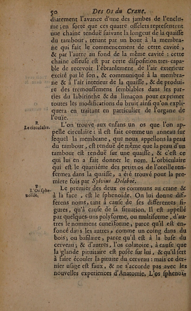 e gr» Ev DM + ÿ AUTRES d  so Des Osdu Cramee me;en forte que ces quatre offelets reprefentent uue chaine tenduë fuivant la longeur de la quaifle du tambour, tenant par un bour à la membra- he qui fait le commencement de certe, cavité ; y» ble de recevoir. l’ébranlement de l'air exterieur excité par lé fon, &amp; communiqué a la membra- ne &amp; à l'air intérieur de la quaifle, &amp; deiprodui- “se des tremouflemens femblables dans les par- ties du labirinthe &amp; du limaçon pour exprimer toutes lés modifications du bruit ainfi qu’on.expli- LOUE nt ns | RQ 4 : % L est) fa 4 £ : à LE à Lecireulare. On trouve aux enfans un os que. l'on ap 7 pelle circulaire: il eft fait commeun anneaufur : Jequel la membrane, que nous appellonsla:peau du tambour , eft renduë de même que la peau d’un tambour eft tenduË fur une quaifle, &amp; c'eft ce qui lui en a fait donner le nom. L'orbiculaire fermez dans la quaifle, a été trouvé pour. la pre- miere fois par Sylvius Deleboë. | hoïde, à la face , eft le fphenoïde. On lui donne-dif- ferens noms, rant à caufe de {es differentes. fi- à Faire écouler lapituite du cerveau : mais!ce der+ e doté nouvelles experiences d'Anatomie, L'os fphenois - . PR ALT