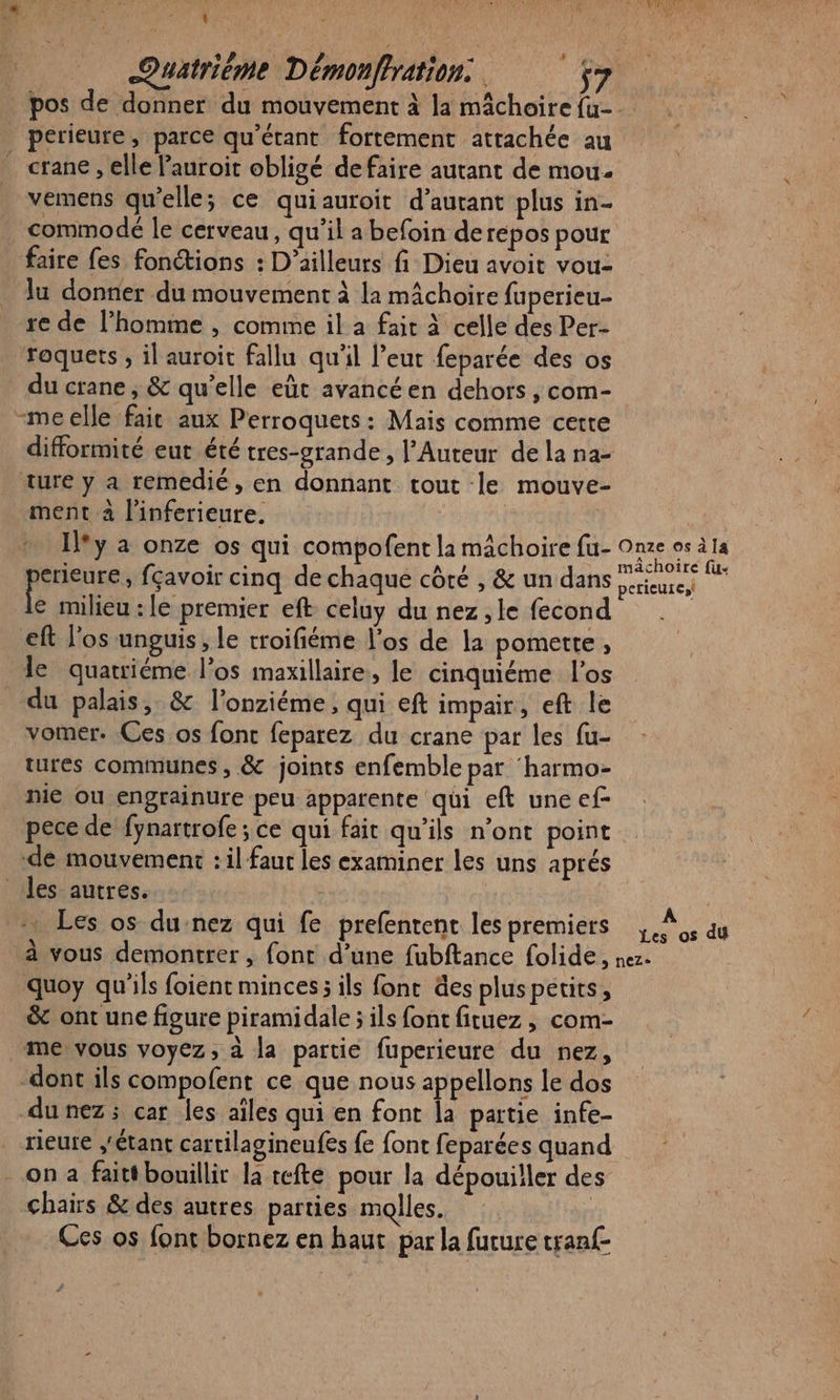 pos de donner du mouvement à la mâchoire {u- perieure , parce qu'étant fortement attachée au crane, elle Pauroit obligé de faire autant de mou. vemens qu’elle; ce quiauroit d’aurant plus in- commodé le cerveau, qu’il a befoin de repos pour faire fes fonétions : D'ailleurs fi Dieu avoit vou- lu donner du mouvement à la mâchoire fuperieu- re de l’homme , comme il a fait à celle des Per- roquets , il auroit fallu qu'il l’eut feparée des os du crane ; &amp; qu’elle eût avancéen dehors , com- -meelle fait aux Perroquets: Mais comme certe difformité eut été tres-grande, l’Auteur de la na- ture y a remedié, en donnant tout le mouve ment à l’inferieure. | Iy à onze os qui compofent la mâchoire fu- Pons ; fçavoir cinq de chaque côté , &amp; un dans € milieu : le premier eft celuy du nez ,le fecon eft l'os unguis, le rroifiéme l'os de la pomette ; le quatriéme l'os maxillaire, le cinquiéme l'os du palais, &amp; l’onziéme, qui eft impair, eft le vomer. Ces os font feparez du crane par les fu- tures communes, &amp; joints enfemble par ‘harmo- nie ou engrainure peu apparente qui eft une ef- pece de fynartrofe ; ce qui fait qu’ils n’ont point de mouvement : il fauc les examiner les uns aprés les autres. | Les os du-nez qui fe prefentent les premiers quoy qu'ils foient minces; ils fonc &amp;es plus petits, &amp; ont une figure piramidale ; ils font fituez , com- me vous voyez, à la partie fuperieure du nez, dont ils compofent ce que nous appellons le dos dunez ; car les aîles qui en font la partie infe- rieure Étant cartilagineufes fe font feparées quand on faitt bouillir la tefte pour la dépouiller des chairs &amp; des autres parties molles. | Ces os font bornez en haut par la fucure tranf- 1 Les os du