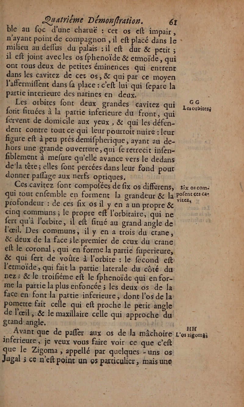 Ka ble au foc d’une charuë : cet os eft impair , n'ayant point de compagnon , il eft placé dans le milieu au deffus du palais :il eft dur &amp; petit ; il eff joint avecles os fphenoïde &amp; etmoïde, qui ont rous deux de petites éminences qui entrent dans les cavitez de cer os, &amp; qui par ce moyen l'affermiffent dans (a place : c’eft lui qui fepare la païtie interieure des narines en deux. - Les orbites font deux grandes ‘cavitez qui {ont fituées à la paitie inferieure du front, qui fervent de domicile aux yeux , &amp; qui les défen- dent contre tout ce qui leur pourroit nuire: leur figure eft à peu prés demifpherique, ayant au de- hors une grande ouverture, qui fe rerrecit infen- de‘la tête ; elles font percées dans leur fond pour donner paflage aux nerfs optiques. qui tout enfemble en forment 1a grandeur &amp; la profondeur : de ces fix os il y en aun propre &amp; cinq communs ; le propre eff l’orbitaire, qui ne fert qu'à l'orbite, il eft fitué au grand angle de œil. Des communs, il y en a trois du crane, VILEZs eft le coronal, qui en forme la partie fuperieure, &amp; qui fert de voûte à l'orbite : le fecond eft: l'ermoïde, qui faitla partie laterale du côté. du nez ; &amp; le troifiéme eft le fphenoïde qui en for- mela partie la plus enfoncée ; les deux os de la: face.en: font la partie -inferieure , dont l'os de la: pomerte fait celle qui eft proche le petir angle grand: angle. inferieure, je veux vous faire voir. ce que c’eft que le Zigoma ; appellé par quelques -uns os Jagal à ce n’eft poinc un os particulier, mais une gomai Es