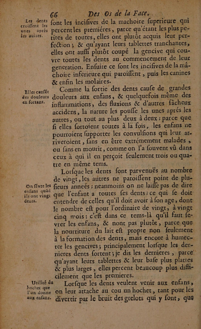 ee L NÉ Les dents croiffent les unes aprés les autres. 1 CPAS è LU 4 pp” PUS NT Ka C À Mu, Le 2 . FE ; F0 $ : ; . A es « fonc les incifives de la machoire fuperieure qui percentles premiéres, parce qu'étant les plus pe- Elles cauféc des douleurs en fortant. On févre les enfans quäd - : ifsont vingt À _ dents, “ È À # — Utilicé du be hocher que . l'on donne à aux enfans, dd. 2 he - ‘ e elles ont auffi plutôt coupé la gencive qui cou- gencration. Enfuite ce font les incifives de la ma- choire inferieure qui paroiffent , puis les canines &amp; enfin les molaires. Comme la fortie des dents caufe de grandes douleurs aux enfans, &amp; quelquefois même des inflammations, des fluxions &amp; d’autres fâcheux accidens, la nature les poufle les unes aprés les autres, ou tout au plus deux à deux ; parce que fi elles fortoienr routes à la fois, les enfans ne pourroient fupporter les convulfions qui leur ar. riveroient , fans en être extrémement malades , ou fans en mourir, comme on l’a fouvent vü dans ceux à qui il en perçoit feulement trois ou qua- tre en même tems. Pr Lorfqueles dents font parvenuës au nombre de vingt, les autres ne paroiffent point de plu- fieurs anneés ; neanmoins on ne laifle pas de dire que l'enfant a toutes fes dents:ce qui fe doi entendre de celles qu'il doit avoir à fon age, dont le nombre eft pour l'ordinaire de vingt, à vingt cinq mois: c'eft dans ce rems-là qu’il faut fe- vrer les enfans, &amp; nont pas plutôt, parce que À la formation des dents, mais encore à humec-. ter les gencives; principalement lorfque les der- nieres dents fortent; je dis les dernieres , parce: qu'ayant leurs tablertes &amp; leur bafe plus plartes &amp; plus larges, elles percent beaucoup plus diffi- Lorfque les dents veulent venir aux enfanss on leur attache au cou un hochet, tant pour les divertir par le bruit des grelots qui y font, que