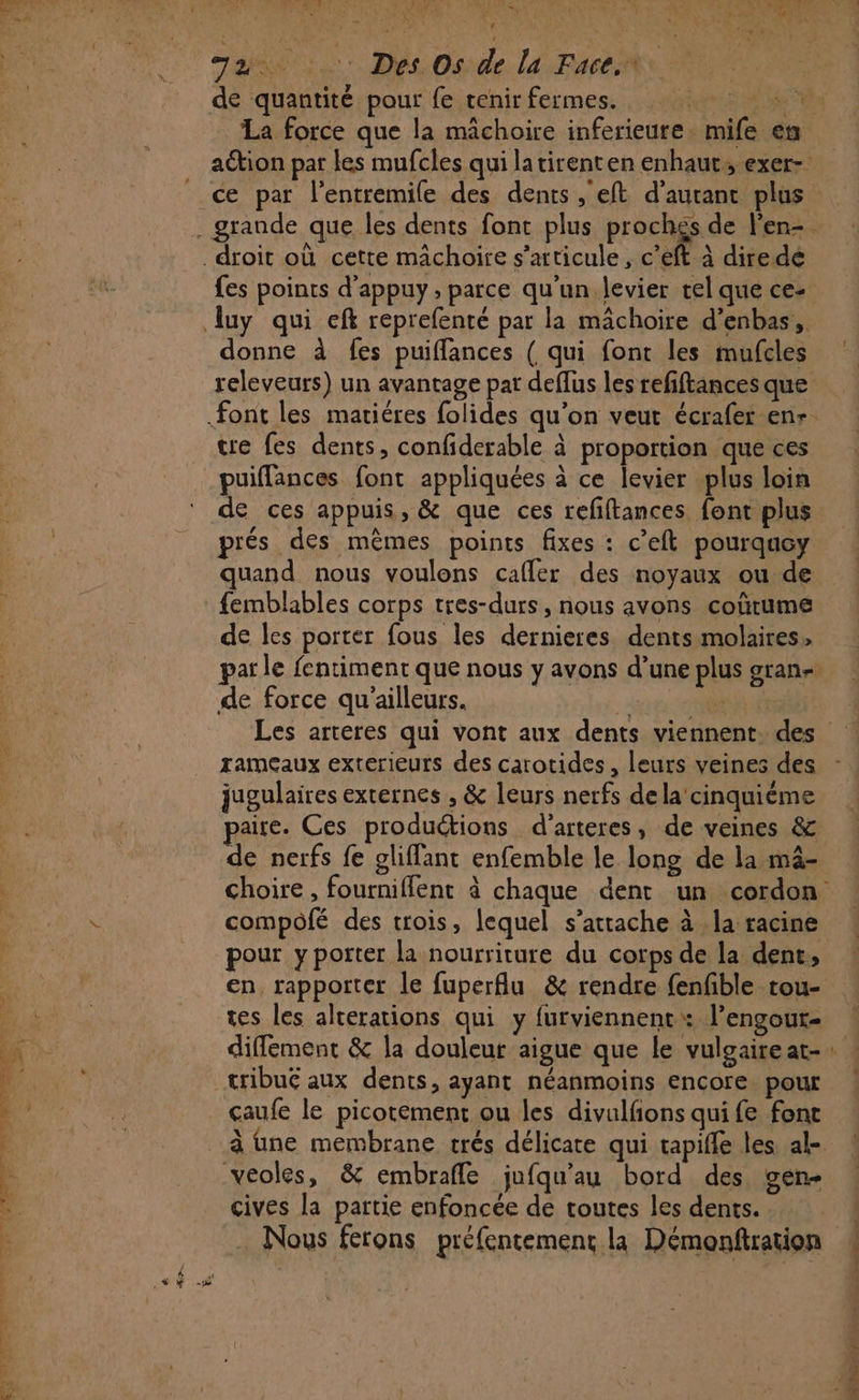 nt 4 Ju: Des.Os de la Faces de quantité pour fe tenir fermes. # ; donne à fes puiffances ( qui font les mufcles releveurs) un avantage par deflus les refftances que tre fes dents, confiderable à proportion que ces puiffances font appliquées à ce levier plus loin de ces appuis, &amp; que ces refftances font plus prés des mêmes points fixes : c’eft pourquoy quand nous voulons cafler des noyaux ou de de les porter fous les dernieres dents molaires, rameaux exterieuts des carotides , leurs veines des jugulaires externes , &amp; leurs nerfs dela cinquième paire. Ces productions d’arteres, de veines &amp; de nerfs fe gliffant enfemble le long de la màâ- compofé des trois, lequel s'attache à la racine en. rapporter le fuperflu &amp; rendre fenfible tou- tes les alcerations qui y furviennent: l’engour- diffement &amp; la douleur aigue que le vulgaire at- tribué aux dents, ayant néanmoins encore pour çaufe le picotement ou les divulfions qui fe fonc cives la partie enfoncée de toutes les dents. : . Nous ferons préfentement la Démonftration Las test Er mnt | »