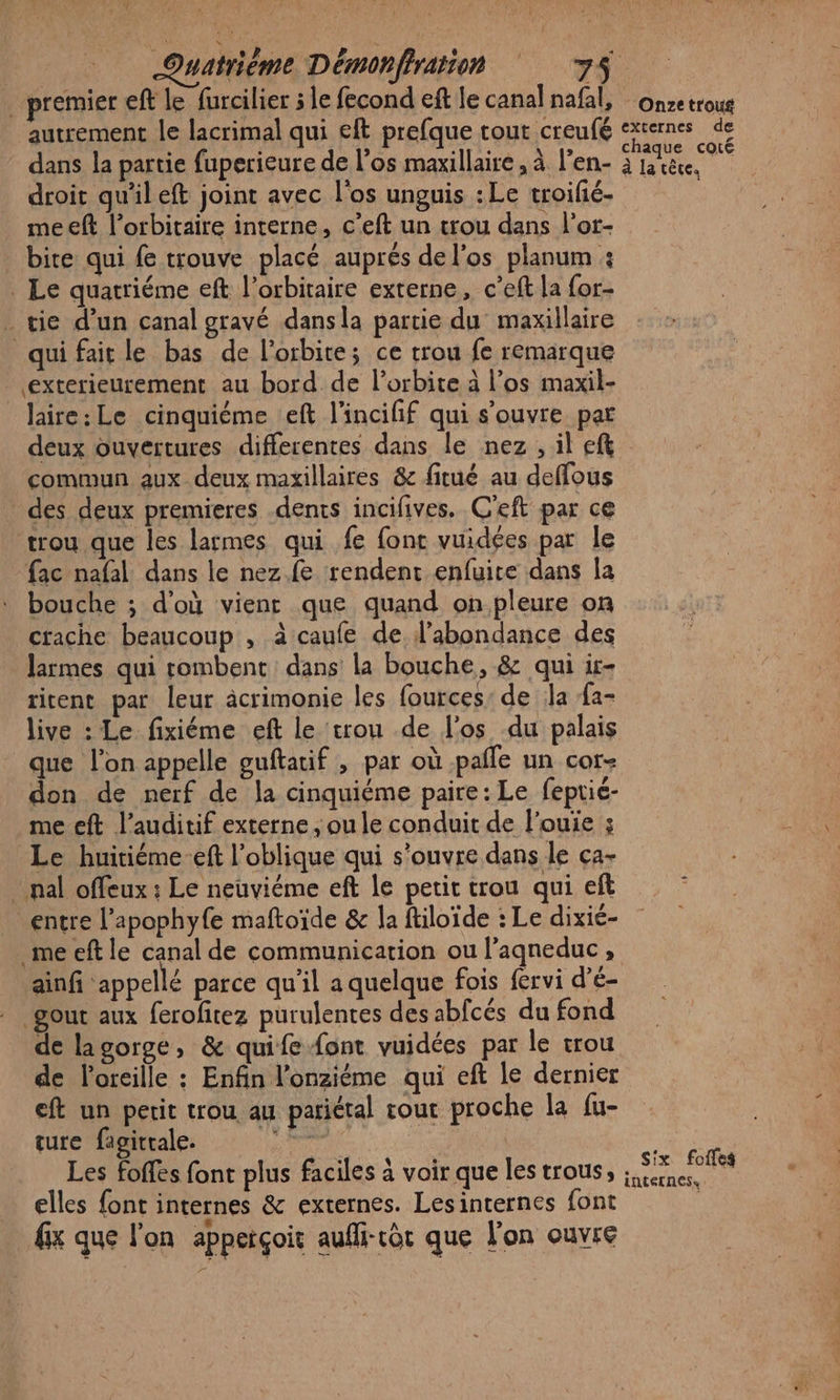 premier eff le furcilier ; le fecond eft le canal nafal, one trous autrement le lacrimal qui eft prefque tout creufé externes de dans la partie fuperieure de l'os maxillaire , à l’en- à FRA droit qu'il eft joint avec l'os unguis : Le troifé. | me eft l’orbitaire interne, c’eft un trou dans l’or- _ bite qui fe trouve placé auprés de l'os planum : . Le quatriéme eft l’orbitaire externe, c’eft la for- . tie d’un canal gravé dansla partie du maxillaire qui fait le bas de l'orbite; ce trou fe remarque exterieurement au bord de l'orbite à l’os maxil- laire: Le cinquiéme eft l'incifif qui s'ouvre par deux ouvertures differentes dans le nez , il ef commun aux deux maxillaires &amp; fitué au deffous des deux premieres dents incifives. C'eft par ce trou que les larmes qui fe font vuidées par le fac nafal dans le nez.fe rendent enfuite dans la bouche ; d'où vient que quand on pleure on crache beaucoup , à caufe de l'abondance des larmes qui rombent dans la bouche, &amp; qui ir- rient par leur âcrimonie les fources de la {a- live : Le fixiéme eft le trou de l'os du palais que l’on appelle guftatif , par où paffe un cor- don de nerf de la cinquiéme paire: Le feprié- me eft l’auditif externe , ou le conduit de l'ouie ; Le huitiéme-eft l’oblique qui s'ouvre dans le ça- . pal offeux : Le neuviéme eft le petit trou qui eft entre l’apophyfe maftoïde &amp; la filoïde : Le dixié- me eft le canal de communication ou l'aqgneduc , ainfi appellé parce qu'il a quelque fois fervi d’é- gout aux ferofitez purulentes des abfcés du fond de lagorge, &amp; quife {ont vuidées par le trou de l'oreille : Enfin l’onziéme qui eft le dernier eft un petit trou au pariétal out proche la fu- ture fagittale. RE | Les foffes font plus faciles à voir que les trous, ; elles font internes &amp; externes. Les internes font fix que l'on apperçoit aufli-cèt que l’on ouvre Six fofles nterness