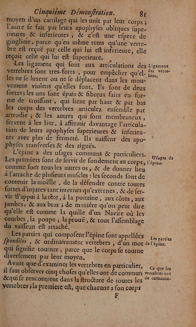moyen d’un cartilage qui les unit par leur corps ; . l'autre fe fait par leurs apophyfes obliques fupe- rieures &amp; inferieures , &amp; c’eft une efpecé de ginglime, parce qu'en mème tems qu'une verte- _ bre eft reçuë par celle qui lui eft inferieure, elle reçoit celle qui lui eft fuperieure. #4 | … Les ligamens qui font aux articulations des Ligamens vertebres font tres-forts , pour empêcher del pe Ve. les ne fe luxent ou ne fe déplacent dans les mou- vemens violens qu'elles font. Ils font de deux fortes; les uns font épais &amp; fibreux faits en for- me de croiffant, qui lient par haut &amp; par bas des corps des vertebres articulez enfemble par - artrodie ; &amp; les autres qui font membraneux, fervent à les lier, à afférimir davantage l’articula- tion de leurs apophyfes fuperieures &amp; inferieu- res avec plus de fermeté. Ils naiflent des apo- phyfes tranfverfes &amp; des aiguës. L'épiné a des ufages communs &amp; particuliers, Be Les premiers font de fervir de fondement au cofps, l’épine. comme font tousles autres os » &amp; de donner lieu à l’attache de plufeurs mufcles : les feconds font de “contenir la moëlle , de la défendre contre toutes fortes d'injures tant internes qu’externes , &amp; de fer- vi d'appui à latère, à la poitrine , aux côtes , aux jambes, &amp; aux bras 3 de maniére qu’on peur diré qu'elle eft comme la quille d'un Navire où les courbes ,la poupe ; la proue , &amp; tout l'afflemblage du vaifleau eft arraché. à » Les parties qui compofent l’épine foncappellées ,. rie JPondiloi | &amp; ordinairement vertebres , d’un mot del'épine. qui fipnifie courner , parce que le corps fe tourne divetfement par leur moyen, d. = Avant qued’examiner les vertebres én particulier, © que les il faut obferver cinq chofes qu'elles ont de commun vertebres one &amp;quife rencontrent dans la ftruêture de routes les % ‘°mmun. verrebres ; la premiere eft, que chacune à fon corps