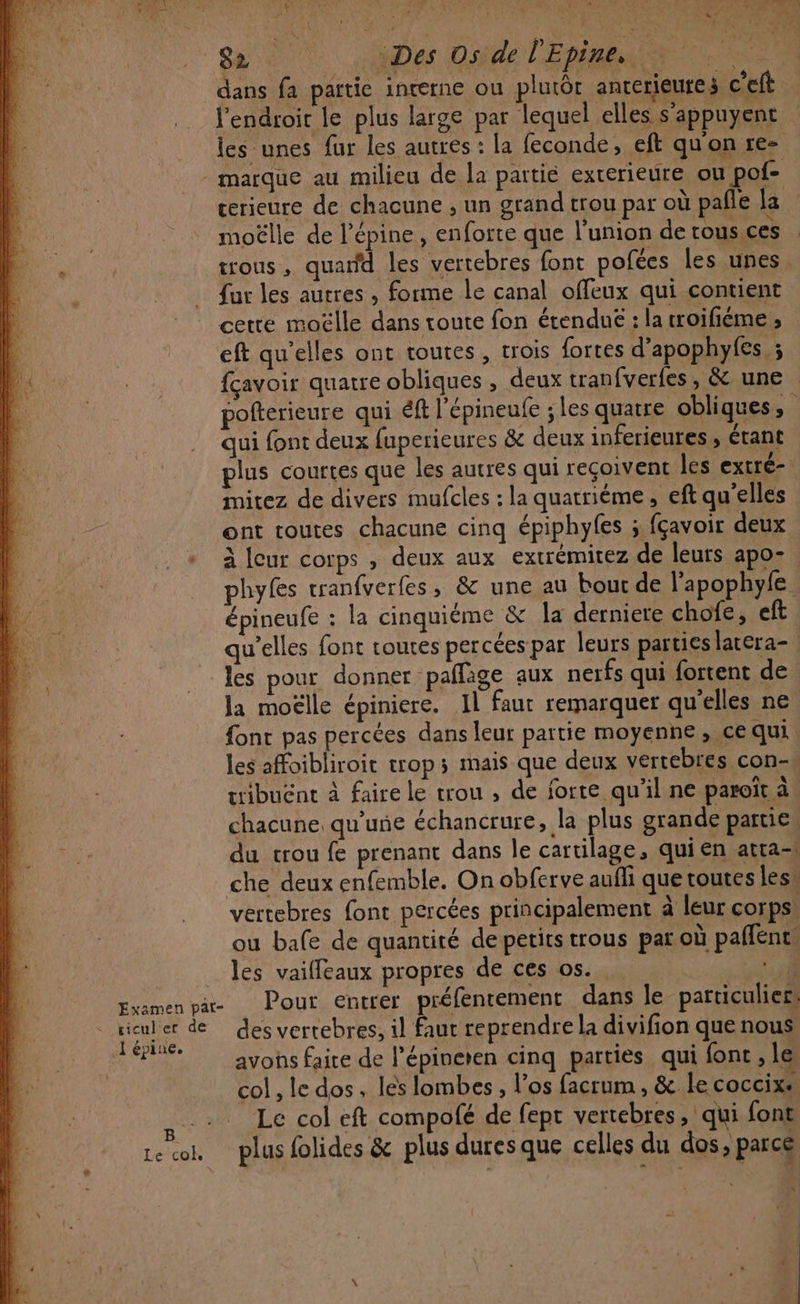“dans fa partie incerne ou plutôt ancerieutes c'eft l'endroit le plus large par lequel elles s’appuyent les unes fur les autres : la feconde, eft qu'on rez - marque au milieu de la pattié exterieure ou pof- cerieure de chacune , un grand trou par où pañle la moëlle de l’épine , enforte que l'union de tous ces trous, quarfd les vertebres font pofées les unes fur les autres , forme le canal offeux qui contient cere moëlle dans toute fon étendue : la sroifième ; eft qu'elles ont toutes, trois fortes d’apophyfes ; fçavoir quatre obliques , deux tranfverfes, &amp; une polterieure qui éft l’épineufe ; les quatre obliques, qui font deux fuperieures &amp; deux inferieures, étant plus courtes que les autres qui reçoivent les extré- mitez de divers mufcles : la quatriéme , eft qu'elles ont toutes chacune cinq épiphyfes ; fçavoir deux + à leur corps , deux aux extrémitez de leurs apo-. phyfes tranfverfes, &amp; une au bouc de l’apophyfe épineufe : la cinquiéme &amp; la derniere chofe, eft qu’elles font toutes percées par leurs parties latera- les pour donner :paflige aux nerfs qui fortent de la moëlle épiniere. Il faut remarquer qu'elles ne font pas percées dans leur partie moyenne , ce qui les affoibliroit trop; mais que deux vertebres con- tribuënt à faire le trou , de forte qu’il ne paroït à! chacune, qu’une échancrure, la plus grande parties du crou fe prenant dans le cartilage, qui en atta-1 che deux enfemble. On obferve auñli que toutes les vertebres font percées principalement à leur corps ou bafe de quantité de petits trous par où paffenc les vaifleaux propres de ces os. | en pate à LP QUTE CNET préfentement dans le particuliers Nu NE des vertebres, il faut reprendre la divifion que nous sou avons faire de l’épineren cinq parties qui font , le, col, le dos, les lombes , l’os facrum , &amp; le coccix. se Le col eft compofé de fept vertebres, qui font re col. plus folides &amp; plus dures que celles du dos, parce