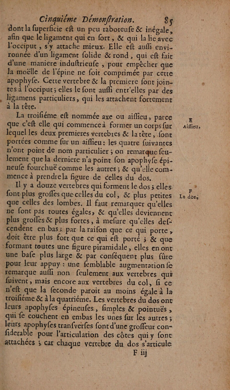 dont la fuperficie eft un peu raboreufe &amp; inégale, afin que le ligament qui en fort, &amp; qui la lie avec l'occipur , sy attache mieux. Elle eft aufi envi- ronnce d'un ligament folide &amp; rond, qui eft fait d'une maniere induftrieufe , pour empécher que la moëlle de l'épine ne foit comprimée par cette apophyfe. Cette vertebre &amp; la premiere font join- _tesa l'occiput; elles le font auffi entr'elles par des , ligamens particuliers, qui les atrachent fortement a la tête. | La rroifiéme eft nommée axe ou aiflieu, parce + que c'eft elle qui commenceà former un corpsfur Aifieu, lequel les deux premieres vertebres &amp; la tête, font portées comme fur un aiflieu: les quatre fuivantes n ont point de nom particulier ; on remarque feu- _ lement que la derniere n’a point (on apophyfe épi- neufe fourchuë comme les autres ; &amp; qu’elle com- mence à prendrela figure de celles du dos. | Il y a douze vertebres qui forment le dos 5 elles. à font plus groffes quecelles du col, &amp; plus petites Le dos; _ que celles des lombes. Il faut remarquer qu’elles ne font pis toutes égales, &amp; qu'elles deviennent plus grofles &amp; plus fortes, à mefure qu’elles def: cendent en bas; par laraifon que ce qui porte, doit être plus fort que ce qui eft porté 5 &amp; que : formant toutes une figure piramidale, elles en ont . une bafe plus large &amp; par conféquent plus füre pour leur appuy : une femblable augmentation fe remarque aufli non feulement aux vertebres qui fuivent , mais encore aux vertebres du col, fi ce n'eft que la feconde paroit au moins égale à la troifiéme &amp; à la quatriéme. Les vertebres du des ont leurs apophyfes épineufes, fimples &amp; pointues , qui fe couchent en embas les unes fur les autres ; leurs apophyfes tranfverfes font d’une groffeur con- fiderable pour l'articulation des côtes quiy font rattachées ; car chaque vertebre du dos s'articule | F üij