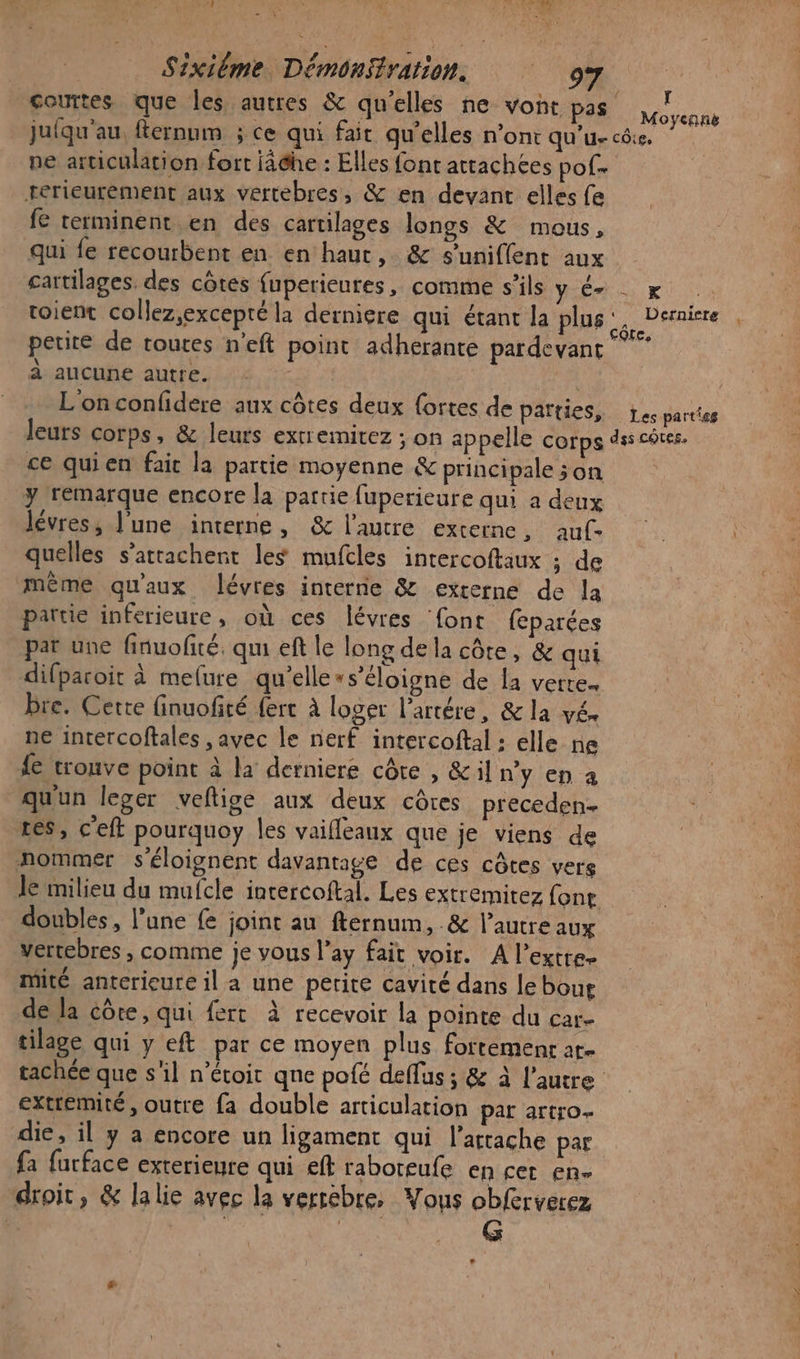 juiqu'au, fernum ; ce qui fait qu’elles n’ont qu’u- pe articulation fort iâdhe : Elles font attachées pof. rerieurement aux vertebres, &amp; en devant elles fe fe terminent en des cartilages longs &amp; mous, qui fe recourbent en en haut, &amp; s’uniflent aux cartilages. des côtes fuperieures, comme s'ils y Cr toient collez,excepté la derniere qui étant la plus petite de toutes n'eft point adherante pardevant à aucune autre. L'onconfidere aux côtes deux {ortes de parties, ce quien faic la partie moyenne &amp; principale ;on y remarque encore la partie fuperieure qui a deux lévres, l'une interne, &amp; l’autre externe, auf- quelles s’attachent les mufcles intercoftaux ; de même qu'aux. lévres interne &amp; externe de la partie inferieure, où ces lévres ‘font feparées par une finuofiré, qu eft le long de la côte, &amp; qui difparoit à melure qu’elle»s’éloigne de la verte. re. Cette finuofité {ert à loger l’artére, &amp;la vé. ne intercoftales , avec le nerf intercoftal : elle ne fe trouve point à la derniere côte , &amp;il n’y en à qu'un leger veflige aux deux côtes preceden- res, c'eft pourquoy les vaifleaux que je viens de nommer s’éloignent davantage de ces côtes vers doubles, l’une fe joint au fternum, .&amp; l’autre AUX vertebres , comme je vous l’ay fait voir. A l’extre- mité anterieure il a une petite cavité dans le bou de la côte, qui fert à recevoir la pointe du car- tilage qui y eft par ce moyen plus fortement are ï Moycanë CÔi£s CE “ Deraicre Les parties extrémité, outre fa double articulation par artyo- die, il y a encore un ligament qui l’artache par fa furface exterieure qui eft raboteufe en cet en. droit, &amp; lalie avec la verrébre, Vous obferverez +: