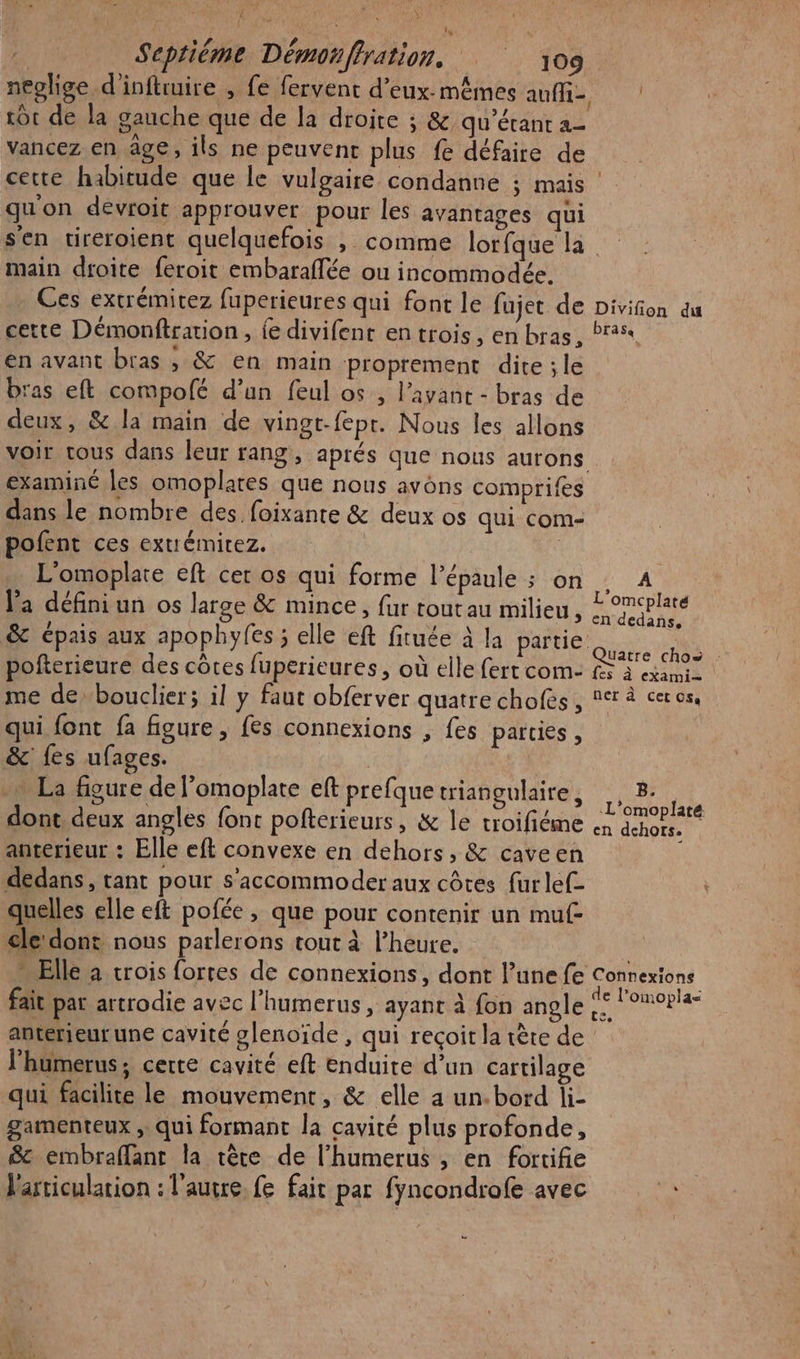 Dre AU | MO ÈMA Septième Démonffration. 109 neglige d'infuuire , fe fervent d'eux-mêmes auf tot de la gauche que de la droite ; &amp; qu'écant a vancez en âge, ils ne peuvent plus fe défaire de cette habitude que le vulgaire condanne ; mais quon devroit approuver pour les avantages qui sen tireroient quelquefois , comme lorfque la main droite feroit embaraflée ou incommodée. Ces extrémitez fuperieures qui font le fujet de Divifion au cette Démonftrarion, fe divifent en trois, en bras, Pras en avant bras , &amp; en main proprement dite ; le bras eft compofé d’un feul os , l’avaur - bras de deux, &amp; la main de vingt-fepr. Nous les allons voir tous dans leur rang, aprés que nous aurons examiné les omoplates que nous avôns comprifes dans le nombre des foixante &amp; deux os qui com- pofent ces extrémirez. L'omoplate eft cer os qui forme l’épaule ; on Va défini un os large &amp; mince, fur toutau milieu, LE L'omcplaté L den : I à £ re AS en dedans, EE (&amp; - ar à épais aux apopnyles ; elle eft firuée à la partie Quatre chos pofterieure des côtes fuperieures, où elle ferr com: fx à exans me de bouclier; il y faut obferver quatre chofes , ner à cer os, qui font fa figure , fes connexions , fes parties , &amp; fes ufages. | … La figure de l'omoplate eft prefque triangulaire, dont. deux angles font pofterieurs, &amp; le troifiéme anterieur : Elle eft convexe en dehors, &amp; caveen dedans, tant pour S'accommoder aux côtes fur lef- quelles elle eft pofée , que pour contenir un muf- cle dons nous parlerons tout à l'heure. “Elle à crois fortes de connexions, dont l’une fe Connexions fait par artrodie avec l’humerus, ayant à fon angle PA ONoRe B. L’omoplaté en dehors. [RAS antérieur une cavité glenoïde , qui reçoit la tète de l'humerus; cette cavité eft enduite d’un cartilage qui facilite le mouvement, &amp; elle a un. bord li- gamenteux , qui formant la cavité plus profonde, &amp;c embraffant la têce de l’humerus , en fortifie l'articulation : l'autre. fe fair par fyncondrofe avec pe mu