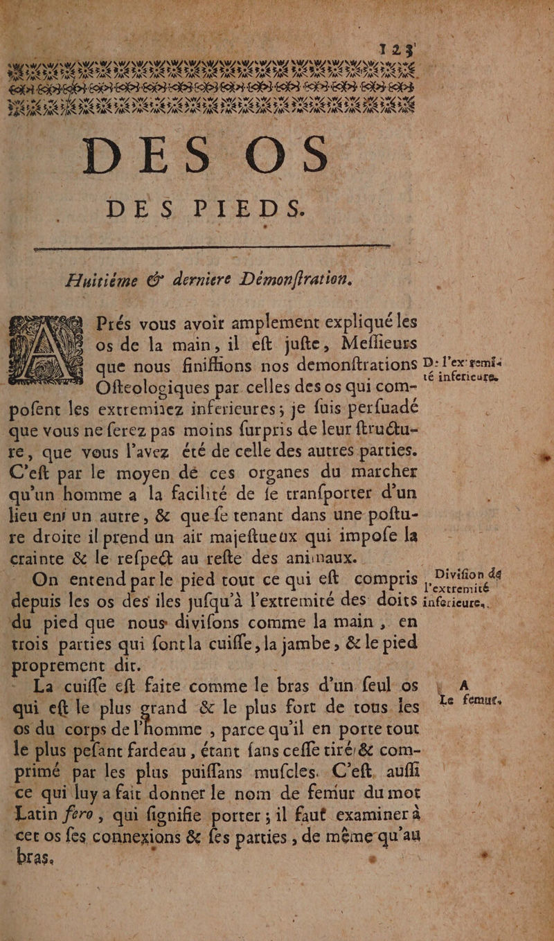 DUMAS NULS, QATUE D EEE É Qu'R ns AP PONS PE es Pre 4 nr C a+ Que CIE ET Ag “ * i it, Le! Se AR L COM ÿ | by L | F Ÿ: 4 e k M %  ’ | JT 2 3 k AA A A AA LEA AA EE EE TARA MOOGNNO TOO TOO OGC NS 7MRS ÿ DATA STAPS 7 Huitiéme © derniere Démonfiration. | | - “@ Prés vous avoir amplement expliqué les Né os de la main, il eft jufte, Mefleurs que nous finifions nos demonftrations Re Ofteologiques par celles des os qui com- * pofenc les extremiez inferieures; je fuis perfuadé Que vous ne ferez pas moins furpris de leur ftructu- re, que vous l'avez été de celle des autres parties. C’eft par le moyen dé ces organes du marcher qu'un homme a la facilité de fe cranfporter d'un lieu ens un autre, &amp; quefe tenant dans une poftu- re droite il prend un ait majeftueux qui impole la es crainte &amp; le refpect au refte des aninaux. On entend parle pied tout ce qui eft compris LUCE depuis les os des iles jufqu’à l’extremiré des doits inforieure. du pied que nous divifons comme la main, en trois parties qui font la cuiffe, la jambe, &amp; le pied proprement dir. | | La cuiffe eft faire comme le bras d’un feul os } A qui eft le plus grand &amp; le plus fort de tous les Le fur, os du corps de l'homme , parcequ'il en porte tout le plus pefant fardeau , étant fans cefle tiré: &amp; com- primé par les plus puiffans mufcles. C’eft. auffi 4 ce qui luya fair donner le nom de femur du mot Latin féro , qui fignifie porter ; il faut examiner à ? cetos fes connexions &amp; fes parties , de même qu'au bras. “hat “ Fi LENS PA Sa ET &gt;: my r