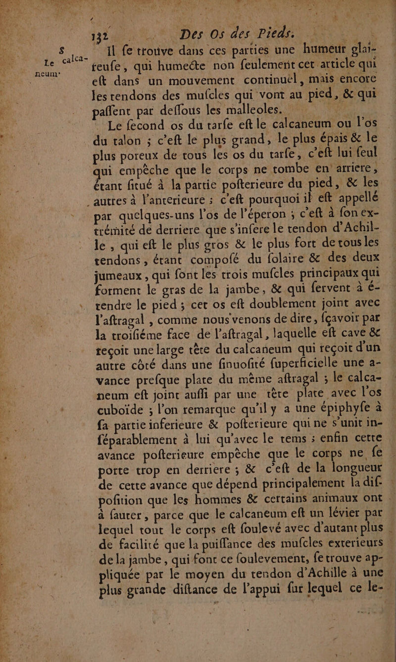 Le calca- neum ATOS AU AG Dr re” LA, CN Ne L N N LE “ QAR ENR ; ENS 4 » : 1 k. 2 1324 : Des OS des Pieds 0 | il fe trouve dans ces parties une humeur eft dans un mouvement continuél, mais encore les rendons des mufcles qui vont au pied, &amp; qui pallent par deflous les malleoles. par quelques-uns l'os de l’éperon ; c’eft à fon ex- le , quieft le plus gros &amp; le plus fort de tous les tendons , étant compofé du folaire &amp; des deux jumeaux , qui {ont les trois mufcles principaux qui forment le gras de la jambe, &amp; qui fervent à é- tendre le pied ; cet os eft doublement joint avec l'aftragal , comme nous venons de dire, fçavoir par la troifiéme face de l’aftragal , laquelle eft cave &amp;c teçoit une large tère du calcaneum qui reçoit d'un autre côté dans une finuofité fuperficielle une a- vance prefque plate du mème aftragal ; le calca- neum eft joint aufli par une tère plate avec l'os cuboïde ; l’on remarque qu'il y a une épiphyfe à fa partie inferieure &amp; pofterieure qui ne s'unit in- féparablement à lui qu'avec le tems ; enfin cette avance pofterieure empèche que le corps ne, fe porte trop en derriere ; &amp; c’eft de la longueur de cette avance que dépend principalement la dif- à faurer, parce que le calcaneum eft un lévier par lequel tout le corps eft foulevé avec d'autant plus de la jambe , qui font ce foulevement, fe trouve ap- pliquée par le moyen du tendon d'Achille à une