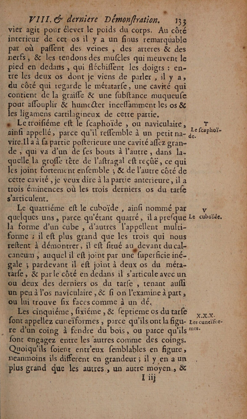 à À VIII. G* derniere Démonffration. 133 vier agit pour élever le poids du corps. Au côté interieur de cet os il y a un finus remarquable pat où pañlent des veines , des arteres &amp; des nerfs, &amp; les tendons des mufcles qui meuvent le pied en dedans , qui fléchiflent les doigts : en- tré les deux os dont je viens de parler , il y a, du côté qui regarde le mératarfe, une cavité qui contient de la graifle &amp; une fubftance muqueufe _ pour affouplir &amp; humecter inceffamment les os &amp; les ligamens cartilagineux de cette partie. #+ Letroifiéme eft le fcaphoïde , ou naviculaire, * vire. Il a à fa partie pofterieure une cavité affez gran- de , qui va d’un de fes bouts à l’autre , dans la- quelle la groffe tère de l’aftragal eft reçûé, ce qui les joint fortement enfemble ; &amp; de l’autre côté de cétte cavité , je veux dire à la partie anterieure, il a trois éminences où les crois derniers os du tarfe s'articulent, Le quatriéme eft le cuboïde , ainfi nommé par quelques uns, parce qu'étant quarré, ila prefque la forme d’un cube , d’autres l’appellent mulri- forme : il eft plus grand que les trois qui nous reftent à démontrer, il eft fitué au_ devant du cal- T Le fcaphoï- €. V Le cuboïde, . gale ; pardevant il eft joint à deux os du méta- ratfe , &amp; parle côté en dedans il s’articuleavec un ou deux des derniers os du tarfe , tenant auf un peu à l'os naviculaire , &amp; fi on l’examine a patt, ou lui trouve fix faces comme à un dé. ki Les cinquiéme , fixiéme , &amp; feptieme os du tarfe fontappellez cuneïformes , parce qu’ils ont la figu- re d'un coing à fendre du bois, ou parce qu'ils font engagez entre les ‘autres comme des coings. Quoiqu'ils foienc entr'eux femblables en figure, “eanmoins ils different en grandeur ; il yen aun plus grand que les autres, un Li moyen., &amp; | iij X.X.X: Les cuneïfor- mes.