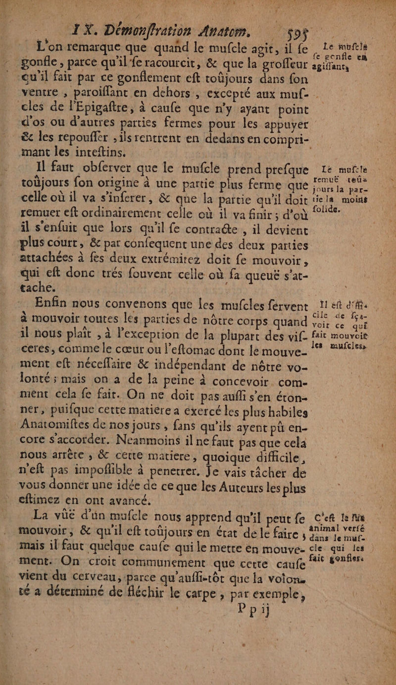 L'on remarque que quand le mufcle agit, il {e Le mufels ventre ; paroïflant en dehors, excepté aux muf- . Il faut obferver que le mufele prend prefque 1e mufcle : Ne « ; | remué teûs toüjours fon origine à une partie plus ferme que te Ve ; À folide. remuer eft ordinairement celle où il va finir ; d'où “°* il s'enfuit que lors qu'il fe contracte , il devient ñ qui eft donc trés fouvent celle où fa queuë s'at- tache. é | Enfin nous convenons que les mufcles fervent 11 ef d'ft. à mouvoir toutes les parties de nôtre corps quand Rat ceres, comme le cœur ou l’eftomac dont le mouve- * “ls ment eft néceflaire &amp; indépendant de nôtre vo- lonté ; mais on à de la peine à concevoir. com- ment cela fe fair. On ne doit pas aufli s’en éron- ner, puifque cette matière a exercé les plus habiles core s'accorder. Neanmoins il ne faut pas que cela nous arrête ; &amp; cétte matiere, quoique difficile, eftimez en ont avancé. ® L3 La Ÿ dr 1 f&amp; mouvoir; &amp; qu'il eft toüjours en érat de le faire 4 gnimai veré 1 fai fiers ment. On croit communement que certe caufe sis gonns vient du cerveau; parce qu'aufli-tôt que la voion. ? ; x té à déterminé de fléchir le carpe , par exemple, Ppij