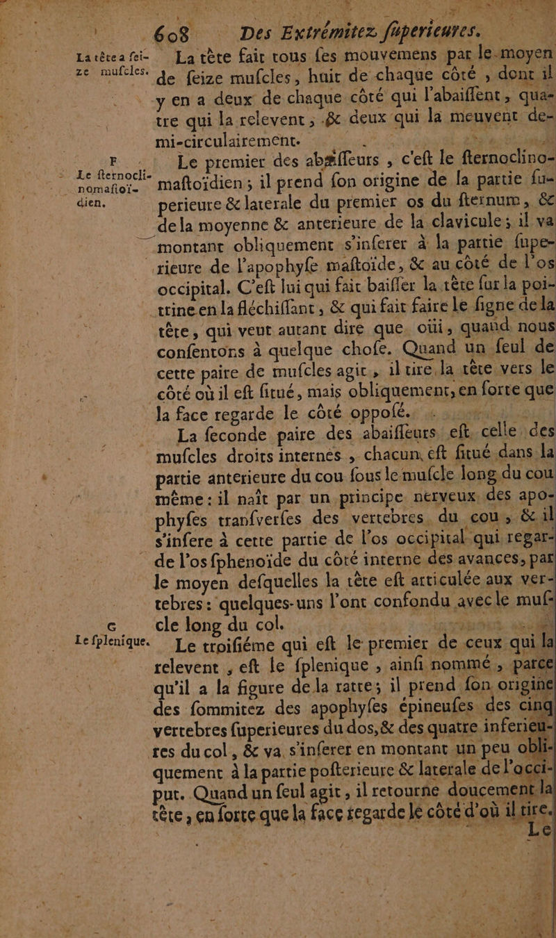 EL 7e delai ve » + pr \s + To “E 0e à ; &gt; GE # 12 : rs e RTE mere LA Ce ‘A di ' * +0 2 D Se UE ER N DR 6o$ Des Extrémitez faperieures. à eu PE | La tète fair rous fes mouvemens par lemoyen ufcles. 4e feize mufcles, hair de chaque côté , dont il yen a deux de chaque côté qui l’abaiflent , qua tre qui la relevent ; 8 deux qui la meuvent de- mi-circulairement. | du F Le premier des abæffeurs , c'eft le fternoclino= a perieure &amp; laterale du premier os du fternum, ëc dela moyenne &amp; anterieure de la clavicule: il va montant obliquement s’inferer à la partie fupe= __.rieure de l'apophyfe maftoide, &amp; au côté de l'os occipital. C'eft lui qui fair baiffer la rète fur la poi- _ trineenlafléchiffant, &amp; qui fait faire le figne dela tête, qui veut autant dire que. oùi; quand nous confentons à quelque chofe. Quand un feul de cette paire de mufcles agir, il tire, la rère vers le côté où il eft fitué, mais obliquement,en forre que la face regarde le côté oppolé. Ace cle long du col. | D efplenique. Le troifiéme qui eft le premier de ceux qui la quement À la partie pofterieure &amp; laterale de M pur. Quand un feul agit, il retourne doucement tête , en forte que la face fegarde lé côté d'où Lies | $ ARONE SOSRUE