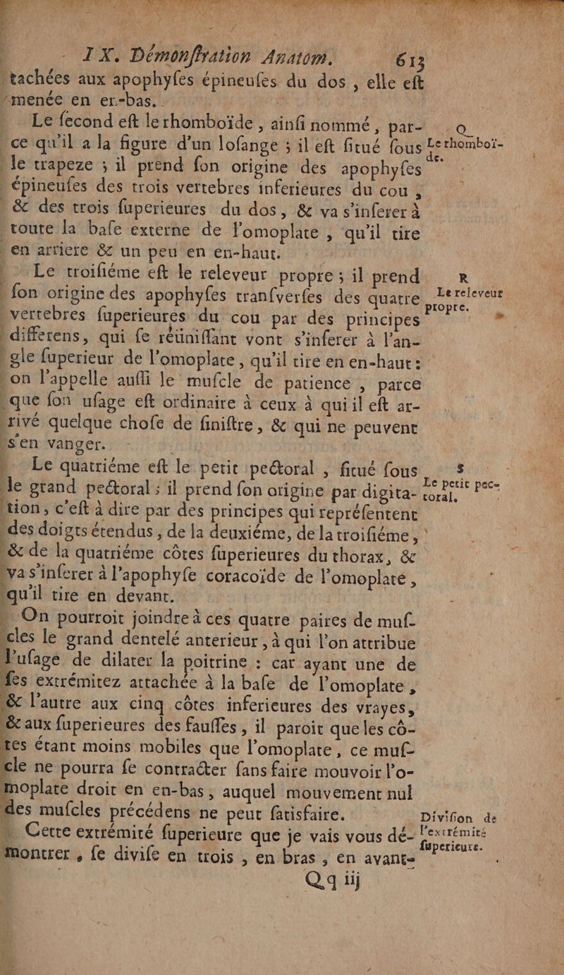 #':-'AEM a... Lu re PU pat 2 A FE l RTE Le AE M: OUR à 7 | Asie ; \ ri PR TOME TU is : : - IX. Démonfiration Anatom. 613 tachées aux apophyfes épineufes du dos , elle eft ‘menée en er-bas. AE M . Le fecond eft lerhomboïde , ainfi nommé, pari «0 ce qu'il a la figure d’un lofange ; il eft fitué (GUSAE Hembor le crapeze ; il prend fon ofigine des apophyfes épineufes des trois vertebres inferieures du cou “4 . &amp; des trois fuperieures du dos, &amp; va s’inferer À toute la bafe externe de lomoplate , qu'il tire en arriere &amp; un peu en en-haut. Le troifiéme eft le releveur propre: il prend R } . fon origine des apophyfes tranfverfes des quatre CR 0 vertebres fuperieures du cou par des principes à différens, qui fe réüniffant vont s'inferer à l’an- gle fuperieur de l’omoplate, qu'il tire en en-haut: Lon lappelle aufli le mufcle de patience , parce que fon ufage eft ordinaire à ceux à qui il eft ar- .rivé quelque chofe de finiftre, &amp; qui ne peuvent s'en vanger. | Le quatriéme eft le petit pectoral , fitué fous (Er le grand pectoral ; il prend fon origine pardigitas on. tion &gt; C'eft à dire par des principes qui repréfentent des doigts étendus , de la deuxiéme, de la troifiéme , : \&amp; de la quatriéme côtes fuperieures du thorax, &amp; \va s’inferer à l’apophyfe coracoïde de l’omoplaté , qu'il tire en devant. 1 . On pourroit joindre à ces quatre paires de muf ee le grand dentelé anterieur , à qui l’on attribue l'ufage de dilarer la poitrine : car ayant une de les extrémitez attachée à la bafe de l’omoplate , à , : : &amp;c l’autre aux cinq côtes inferieures des vrayes, &amp; aux fuperieures des fauffes , il paroic que les cô- des mufcles précédens ne peut fatisfaire. Divifion de È . . . ° CN La émité + Cere extrémité fuperieure que je vais vous dé- rois montrer , {e divife en trois , en bras , en avant