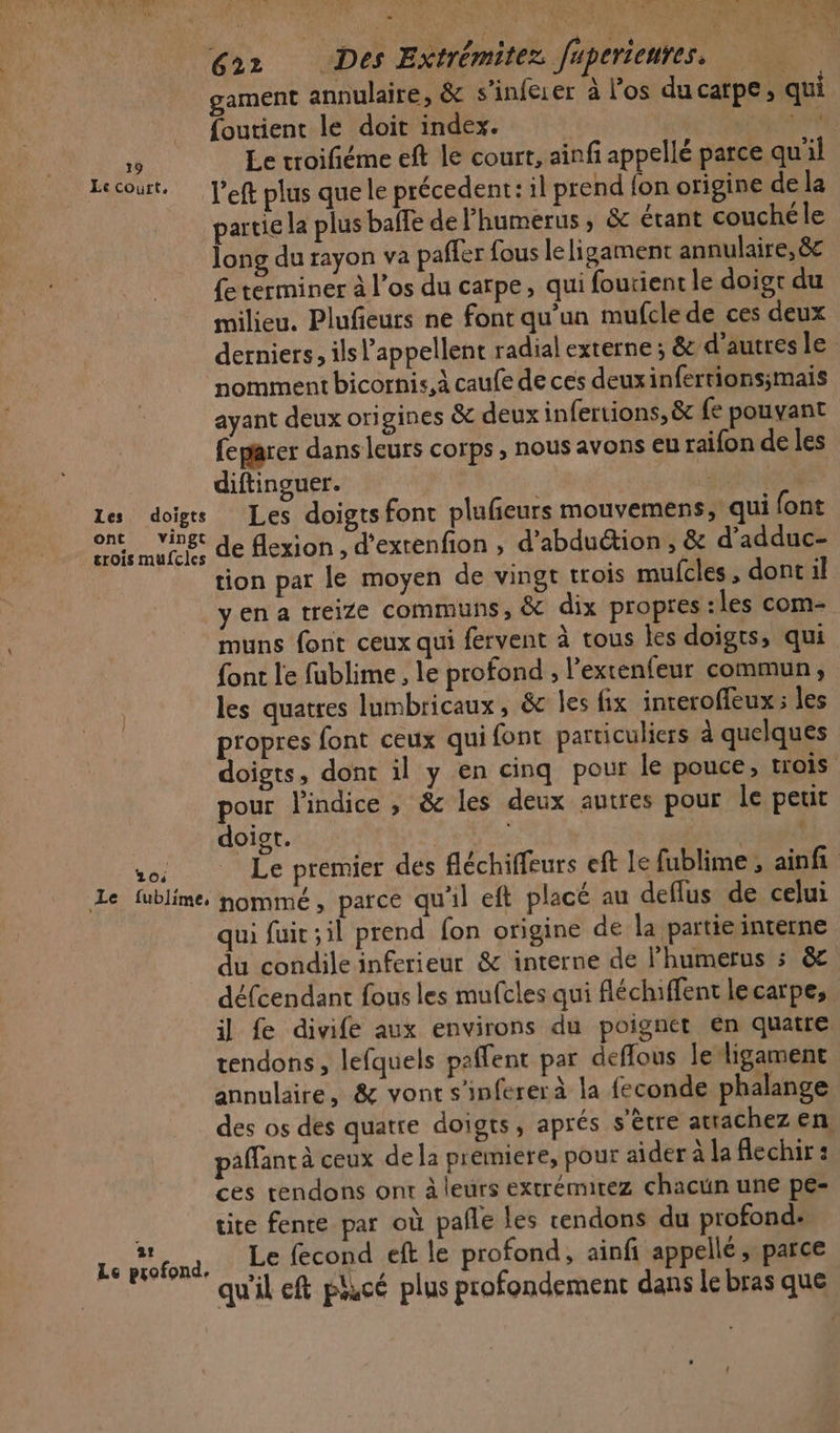 CRUE CANNOT # \.# A Et. du V7 D LA k | 4 { VAE à L : ANG AETR 2ù 0 Re V1 45 RE , x LL r L da Nes - 622 Des Extrémitez fuperienres. gament annulaire, &amp; s’infeer à Pos du carpe, qui _ foutient le doit index. | NH: 19 Le troifiéme eft le court, ainfi appellé parce qu'il Lecourt. … [’eft plus que le précedent: il prend fon origine de la partie la plus balle de l’humerus , &amp; étant couchéle long du rayon va paffer fous leligament annulaire, &amp;e fe terminer à l'os du carpe, qui foutient le doigr du milieu. Plufieurs ne font qu’un mufcle de ces deux derniers, ils l’appellent radial externe ; &amp; d'autres le nomment bicornis,à caufe de ces deuxinfertionsimais ayant deux origines &amp;c deux infertions, &amp; fe pouvant feparer dans leurs corps , nous avons eu raifon de les diftinguer. PTE Les doigs Les doigts font plufieurs mouvemens; qui font one vet de flexion , d'extenfion , d'abduétion ; &amp; d’adduc- tion par le moyen de vingt trois mufcles, dont il yen a treize communs, &amp; dix propres :les com- muns font ceux qui fervent à tous les doigts, qui font le fublime, le profond , l'exrenfeur commun, les quatres lumbricaux, &amp;c les fix interoffeux les propres font ceux qui font particuliers à quelques doigts, dont il y en cinq pour le pouce, trois pour l'indice , &amp; les deux autres pour le peut doisr. AP, vo Le premier des fléchiffeurs eft Le fublime, ainfi Le fublime. nommé, parce qu'il eft placé au deflus de celui qui fuit ;il prend fon origine de la partie interne du condile inferieur &amp; interne de lhumerus ; &amp; défcendant fous les mufcles qui fléchiffent lecarpe, il fe divife aux environs du poignet en quatre tendons, lefquels paflent par deffous le/ligament annulaire, &amp; vont s’infererà la feconde phalange des os des quatre doigts, aprés s'être attachez en paffant à ceux de la premiere, pour aider à la flechir : ces tendons ont à leurs extrémirez chacun une pe- tire fente par où pañle les tendons du profond: Le fecond eft le profond, ainfi appellé, parce qu'il eft plucé plus profondement dans Le bras que at Le profond.