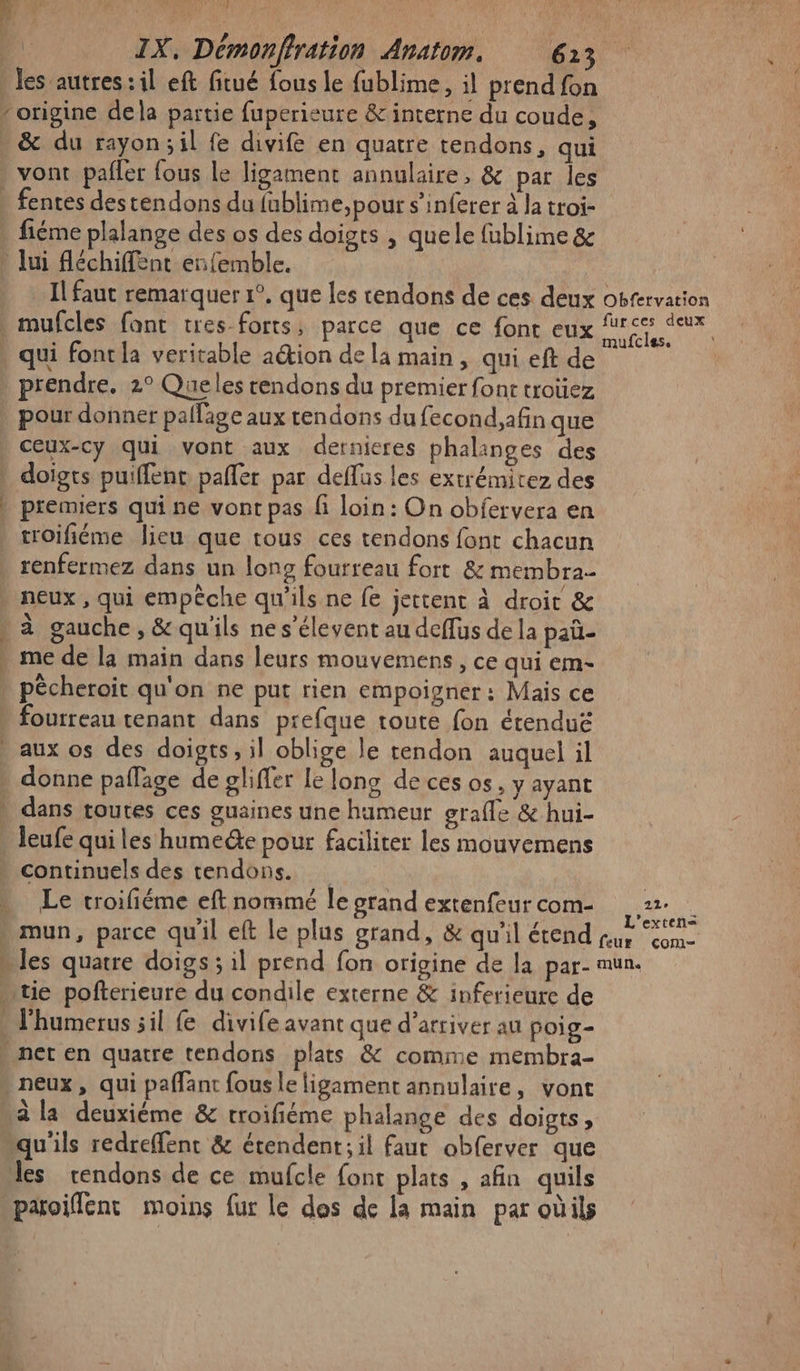 les autres: il eft fitué fous le fublime, il prend fon origine dela partie fuperieure &amp; interne du coude, . &amp; du rayon; il fe divifé en quatre tendons, qui , vont pafler fous le ligament annulaire, &amp; par les . fentes destendons du {ublime, pour s’inferer à la troi- » fiéme plalange des os des doigts , quele fublime &amp; » lui fléchiffent enfemble. Il faut remarquer 1°. que les cendons de ces deux obrervation . mufcles font tres forts, parce que ce font eux A AV qui font la veritable action de la main, qui eft de . prendre. 2° Queles tendons du premier font troüez pour donner pallage aux tendons du fecond,afin que ceux-cy qui vont aux dernieres phalanges des | doigts puiffent paller par deflus les extrémitez des . premiers qui ne vont pas fi loin: On obfervera en troifiéme lieu que tous ces tendons font chacun renfermez dans un long fourreau fort &amp; membra- neux, qui empêche qu'ils ne fe jettent à droit &amp; . à gauche, &amp; qu'ils ne s’élevent au deffus de la paü- . me de la main dans leurs mouvemens, ce qui em- » pécheroit qu'on ne put rien empoigner : Mais ce fourreau tenant dans prefque toute fon érenduë aux os des doigts, il oblige le tendon auquel il . donne paflage de gliffer le long de ces os, y ayant » dans toutes ces guaines une humeur grafle &amp; hui- leufe quiles humedte pour faciliter les mouvemens continuels des tendons. ; … Le croifiéme eft nommé leorand extenfeurcom- 2 CE 5.1 7 L'exten= . mun, parce quil eft le plus grand, &amp; Qu SCA ie com « les quatre doigs; il prend fon origine de la par- mun. tie pofterieure du condile externe &amp; inferieure de : l'humerus sil fe divife avant que d'arriver au poig- » net en quatre tendons plats &amp; comme membra- neux, qui paffant fous le ligament annulaire, vont à la deuxiéme &amp; troifiéme phalange des doigts, qu'ils redreffent &amp; étendent; il faut obferver que les vendons de ce mufcle font plats , afin quils paroiflent moins fur Le dos de la main par oùils