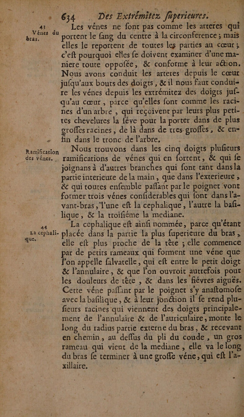 LS HU dr F 1h 2 + 634 Des Extrémitez Juperieures. nes : Les vénes ne font pas comme les artéres ‘qui Pt portent le fang du centre à la circonference ; mais | elles le reportent de toutes les parties au cœur; c’eft pourquoi elles fe doivent examiner d’une ma- ‘niere toute oppofée, &amp; conforme à leur ation, Nous avons conduit les arteres depuis le cœur: jufqu’aux bouts des doigts, &amp; il nous faur conduis re les vénes depuis les extrémitez des doïgts juf- qu'au cœur, parce qu'elles font comme les raci- nes d'un arbre , qui reçoivent par leurs plus peti-. tes chevelures la féve pour la porter dans de plus groffes racines, de là dans de tres-grofés, &amp; en- + fin dans le tronc de Parbre,  à | Ramcarton Nous trouvons dans les cinq doigts plufeurs des vénes. famifications de vénes qui en fortent, &amp; qui fe joignans à d’autres branches qui font rant dansla partie interieure de la main, que dans l'exterieure ; &amp; qui toutes enfemble paflant par le poignet vont former trois vénes confidérables qui font dans l'a- vant-bras , l'une eft la cephalique , l’autre la bafi- . lique, &amp; la troifiéme la mediane. ss La cephalique eft ainfi nommée, parce qu'étant ne cephali- placée dans la partie la plus fuperieure du bras, de elle eft plus proche de la rète ; elle commence | par de petits rameaux qui forment une véne que l'on appelle falvatelle, qui eft entre le petit doigt &amp; l’annulaire, &amp; que l'on ouvroit autrefois pout Jes douleurs de tête , &amp; dans les fiévres aiguës. Cette véne paffant par le poignet s'y anaftomofe avec la bafilique , &amp; à leur jonétion il fe rend plu- fieurs racines qui viennent des doigts principale- ment de lannulaire &amp; de l’auriculaire, monte le long du radius partie externe du bras, &amp; recevant en chemin, au deflus du pli du coude, un gros rameau qui vient de la mediane , elle va le long NE fe terminer à une groffe véne, qui eft l'a- xillaire. Ne