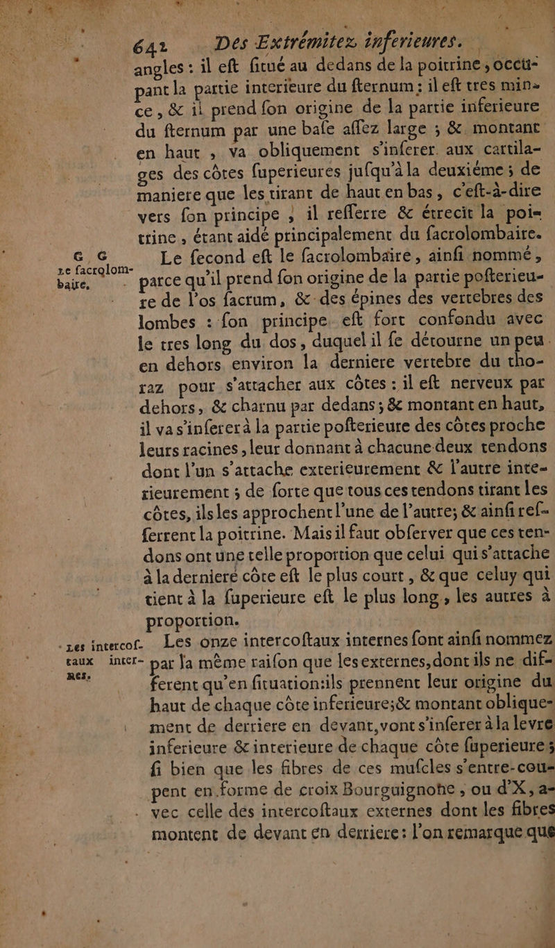 Ge G re facralom- * Les intetcof- taux intcr- RES, de MT : NE pat Es ee 1 éaz Des Extrémitez inférieures. angles : il eft fitué au dedans de la poitrine, occüi- pant la partie interieure du fternum: ileft tres min» ce, &amp; il prend fon origine de la partie inferieure du fternum par une bafe affez large ; &amp; montant en haut , va obliquement s’inferer. aux cartila- ges des côtes fuperieures jufqu'à la deuxième ; de maniere que les tirant de hautenbas, c'eft-à-dire vers fon principe , il reflerre &amp; érrecit la poi= cine , étant aidé principalement du facrolombaire. Le fecond eft le facrolombaire, ainfi nommé, parce qu'il prend fon origine de la partie pofterieu- re de l'os facrum, &amp;-des épines des vertebres des lombes : fon principe. eft fort confondu avec le tres long du dos, duquel il fe dérourne un peu. en dehors environ la derniere vertebre du cho- raz pour s'attacher aux côtes : il eft nerveux par dehors, &amp; charnu par dedans ; &amp; montanten haut, il va s’inferer à la partie pofterieure des cotes proche leurs racines , leur donnant à chacunedeux tendons dont l’un s'attache exterieurement &amp; l'autre inte- tieurement ; de forte que tous ces tendons tirant les côtes, ils les approchent l’une de l’autre; &amp; ainfiref- ferrent la poitrine. Maisil faut obferver que cesten- dons ont une telle proportion que celui quis’atrache à la derniere côte eft le plus court, &amp; que celuy qui tient à la fuperieure eft le plus long, les autres à proportion. Les onze intercoftaux internes font ainfñi nommez par fa mème raifon que les externes,dontils ne dif- ferent qu’en fituation:ils prennent leur origine du. haut de chaque côte inferieure;&amp; montant oblique: ment de derriere en devant, vont s’inferer à la levre inferieure &amp; interieure de chaque côte fuperieures fi bien que les fibres de ces mufcles s'entre-cous pent en.forme de croix Bourguignohe ; ou d'X, a- vec celle des inrercoftaux externes dont les fibres montent de devant en derriere: l'on remarque qué