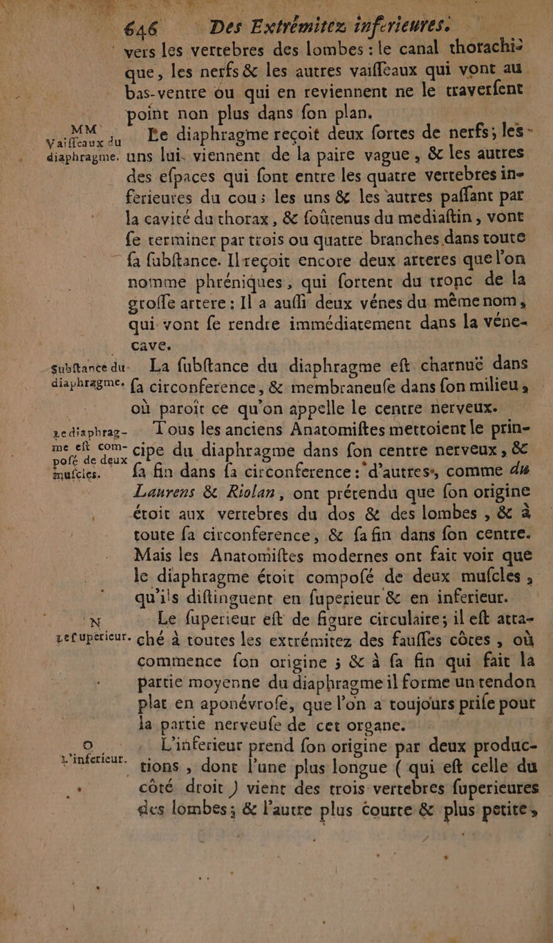 tà  _ 646 Des Extrémitex inferienres. * vers les verrebres des lombes : le canal thorachic que, les nerfs &amp; les autres vaifleaux qui vont au bas-ventre ou qui en reviennent ne le traverfent / point non plus dans {on plan. | MM: diaphragme. uns lui. viennent de la paire vague, &amp;c les autres des efpaces qui font entre les quatre vertebres in- ferieures du cou: les uns &amp; les autres paffant par la cavité du thorax, &amp; foûürenus du mediaftin, vont fe rerminer par trois ou quatre branches dans toute - {à fubftance. Ilreçoit encore deux arteres quel'on nomme phréniques, qui fortent du tronc de la groffe artere : Il a auffi deux vénes du mêmenom, qui. vont fe rendre immédiatement dans la véne- : Leave: | | Es subftance du La fubftance du diaphragme eft charnue dans diaphragme. (à circonference, &amp; membraneufe dans fon milieu, où paroît ce qu’on appelle le centre nerveux. sediapbrag- Lous les anciens Anatomiftes mettoient le prin- me en on. Cipe du diaphragme dans fon centre nerveux ; éc mufcies. a fin dans {a circonference : d’autres, comme 4% Laurens &amp; Riolan, ont prérendu que fon origine .. étoit aux vertebres du dos &amp; des lombes , &amp; à toute fa circonference, &amp; fa fin dans fon centre. Mais les Anatomiftes modernes ont fait voir que le diaphragme étoit compofé de deux mufcles , qu'ils diftinguent en fuperieur &amp; en inferieur. N Le fuperieur eft de figure circulaire; il eft atra- cefuperieur. ché à toutes les extrémitez des faufles côtes , où commence fon origine 3 &amp; à fa fin qui fait la partie moyenne du diaphragme il forme un tendon plat en aponévrofe, que l’on a toujours prife pour la partie nerveufe de cet organe. L'inferieur prend fon origine par deux produc- tions , dont l’une plus longue ( qui eft celle du côté droit ) vient des trois vertebres fuperieures des lombes; &amp; l’autre plus Courte &amp; plus petite, [e L'inferieut. Ca