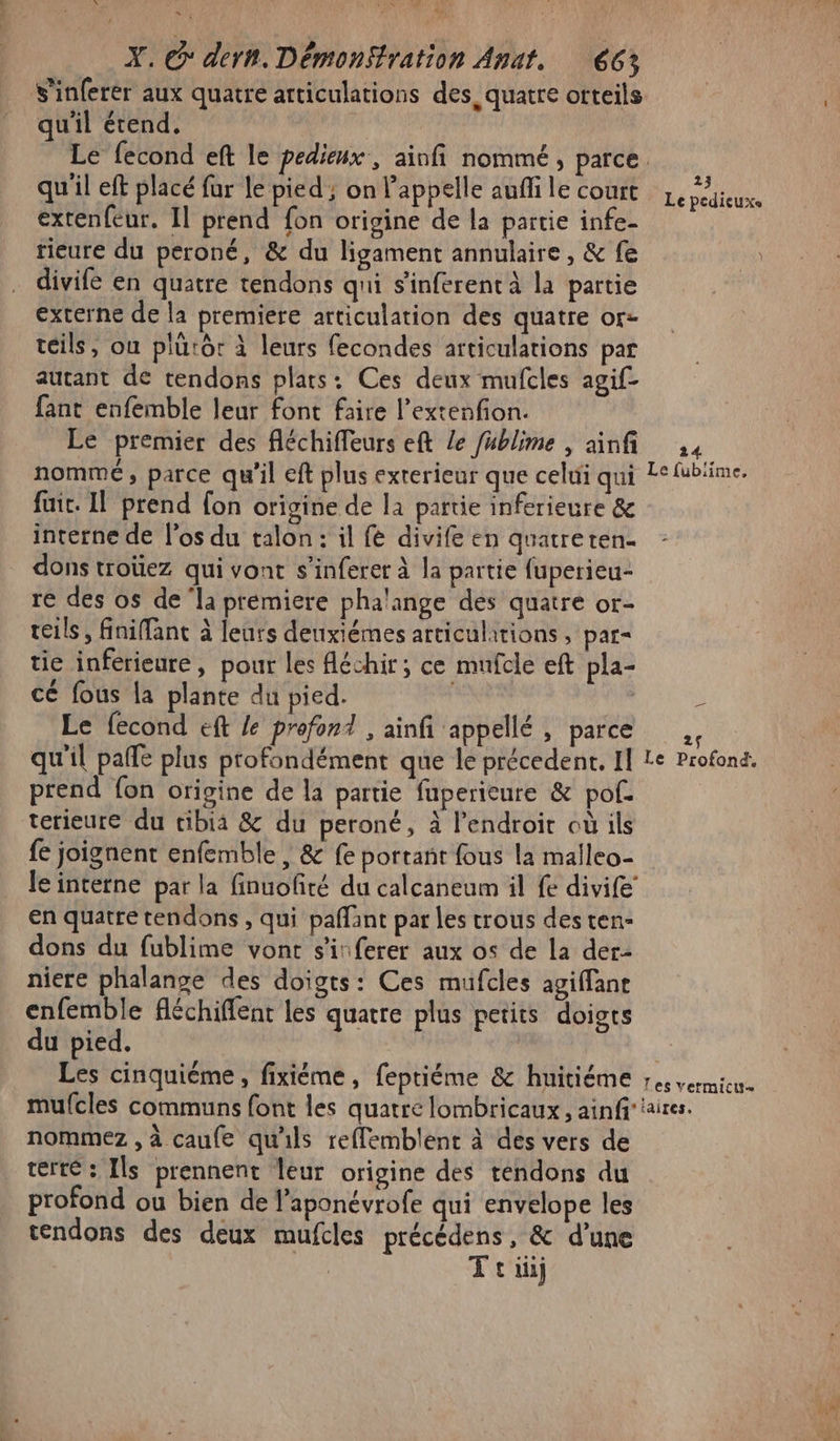 ÿ, - ven # £ d : X. G* dern. Démonffration Anat. (663% s'inferér aux quatre articulations des, quatre orteils qu'il étend, | Le fecond eft le pedieux, ainfi nommé, parce. qu'il eft placé für le pied ; on l'appelle auñfi le court extenfeur. 11 prend fon origine de la partie infe- rieure du peroné, &amp; du ligament annulaire, &amp; fe divifé en quatre tendons qui s'inferent à la partie externe de la premiere articulation des quatre or- teils, où plutôt à leurs fecondes articulations par autant de tendons plats: Ces deux mufcles agif- fant enfemble leur font faire l’extenfion. Le premier des fléchiffeurs eft Le füblime | ainf nommé, parce qu’il eft plus exterieur que celui qui fuit. Il prend fon origine de la partie inferieure &amp; interne de l'os du talon: il fe divife en quatreten- dons troüez qui vont s’inferer à la partie fuperieu- re des os de ‘la prémiere phalange des quatre or- teils, finiffant à leurs deuxièmes articulations , par tie inférieure, pour les fléchir; ce mufcle eft pla- cé fous la plante du pied. | | Le fecond eft Le profond , ainfi appellé , parce qu'il paffe plus profondément que le précedent. Il prend fon origine de la partie fuperieure &amp; pof- terieure du tibia &amp; du peroné, à l'endroit où ils fe joignent enfemble, &amp; fe portant fous la malleo- le interne par la finuofré du calcaneum il fe divife en quatre tendons , qui paflant par les crous des ten: dons du fublime vont s'inferer aux os de la der- niere phalange des doigts: Ces mufcles agiffane enfemble fléchiffent les quatre plus petits doigts du pied. Les cinquième, fixième, feptiéme &amp; huitiéme mufcles communs font les quatre lombricaux , ainfi: nommez , à caufe qu'ils reflemblent à des vers de terté : Ils prennent leur origine des téndons du profond ou bien de l’aponévrofe qui envelope les tendons des deux mufcles précédens, &amp; d’une Tri QU 23 Le pedieuxe 14 Le fubiime, _ 2$ Le Profond, Les vermiciut- aires. HA